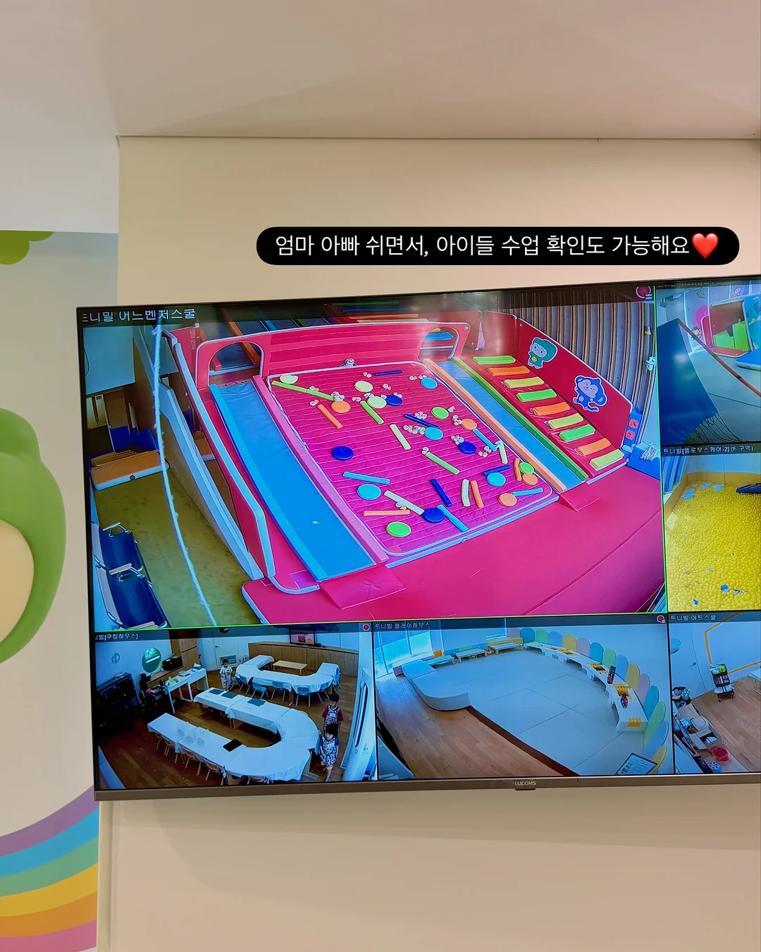 무아뱅 플리츠 시리즈 5