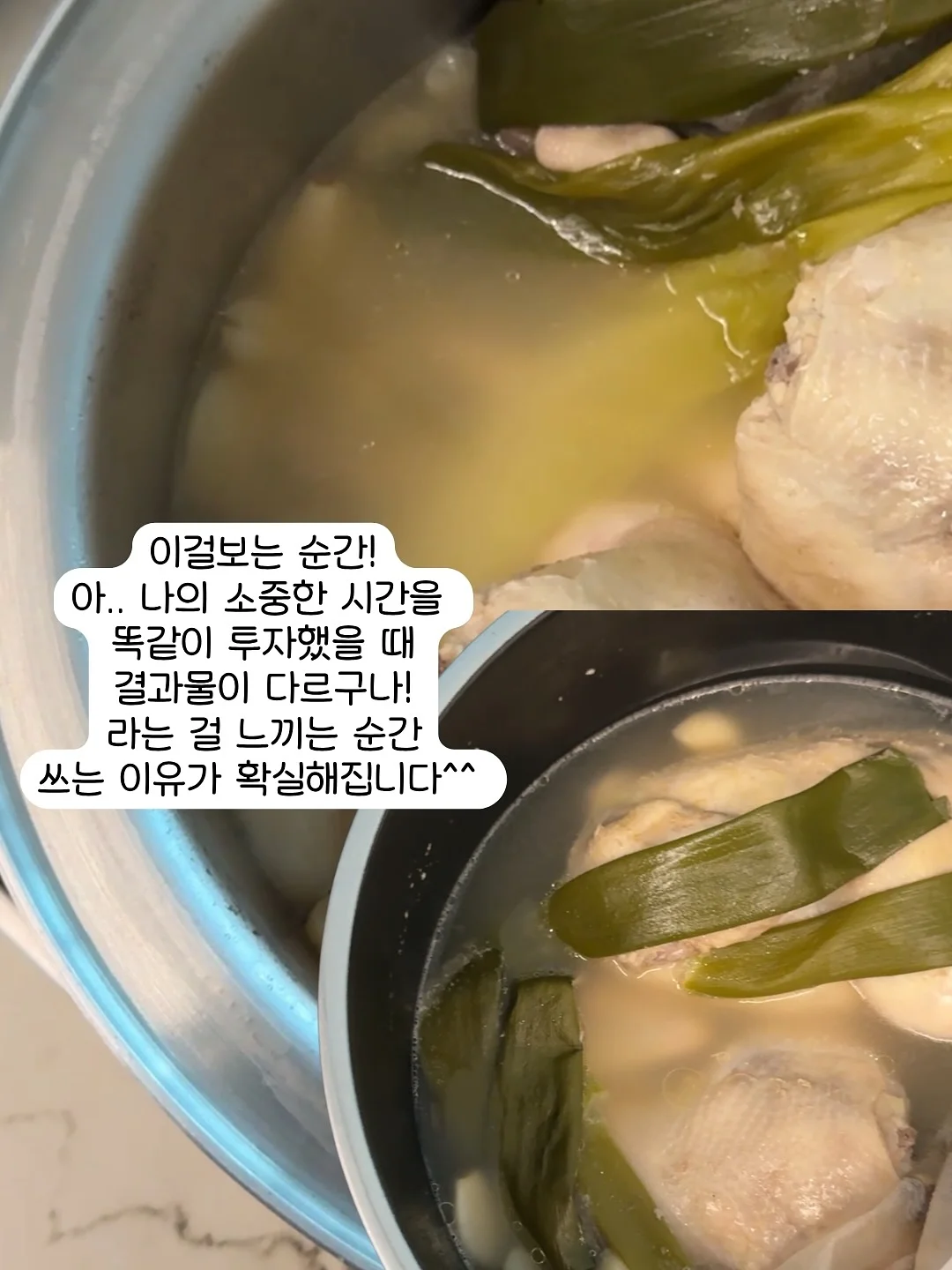 음식물 거치대 5