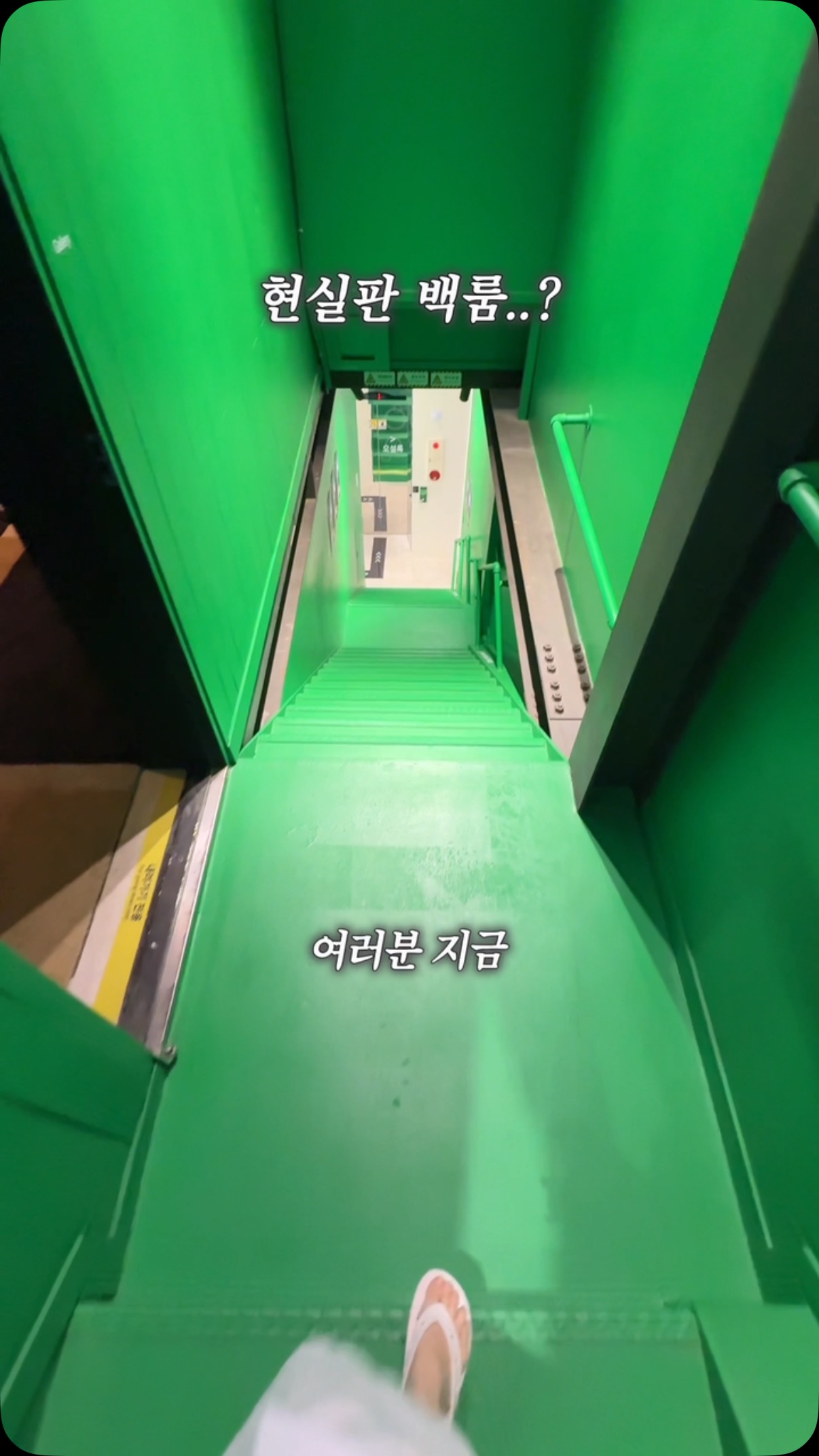 원목 캣휠