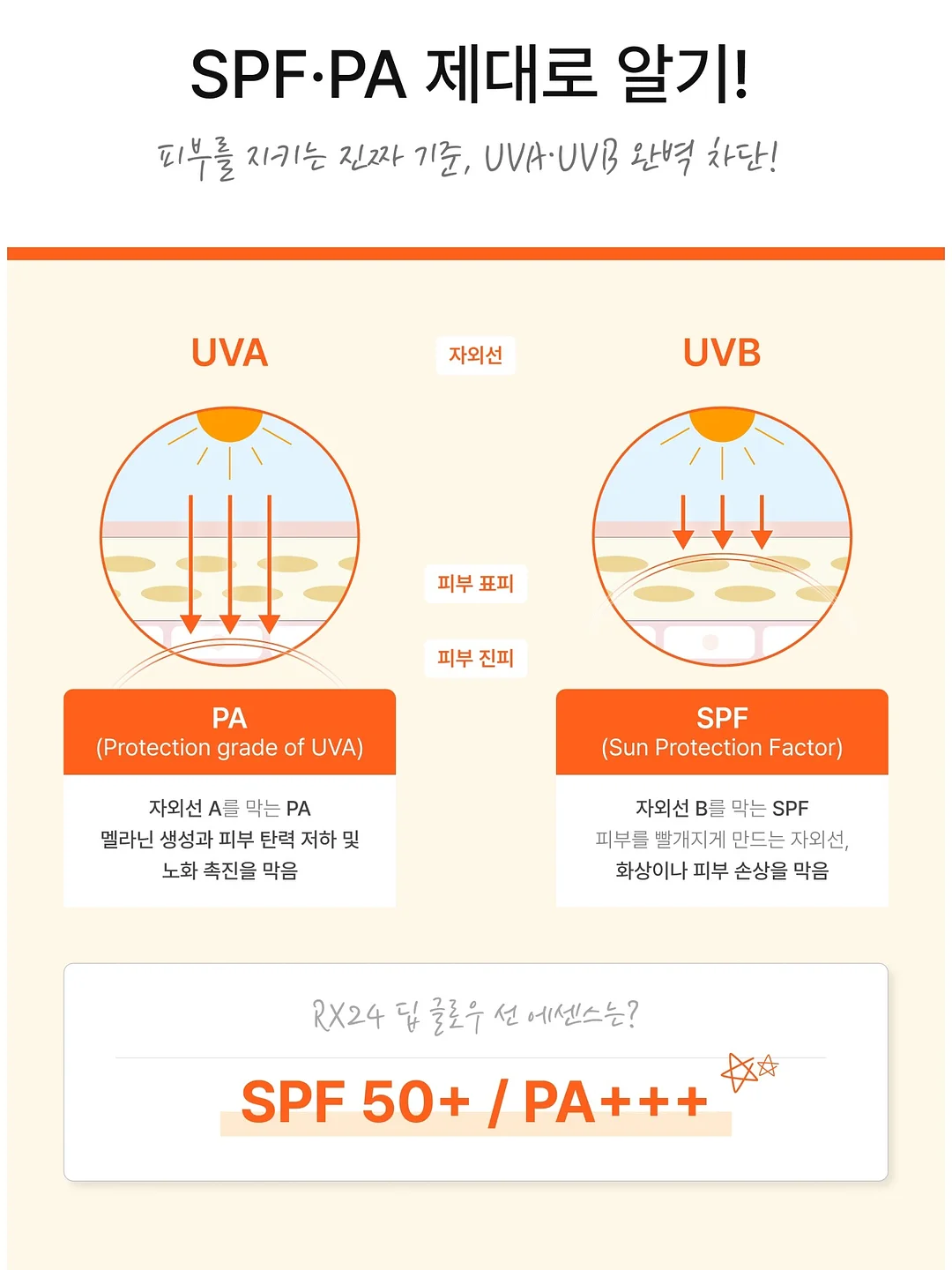 토끼 귀 긱시크 안경 케이스 5