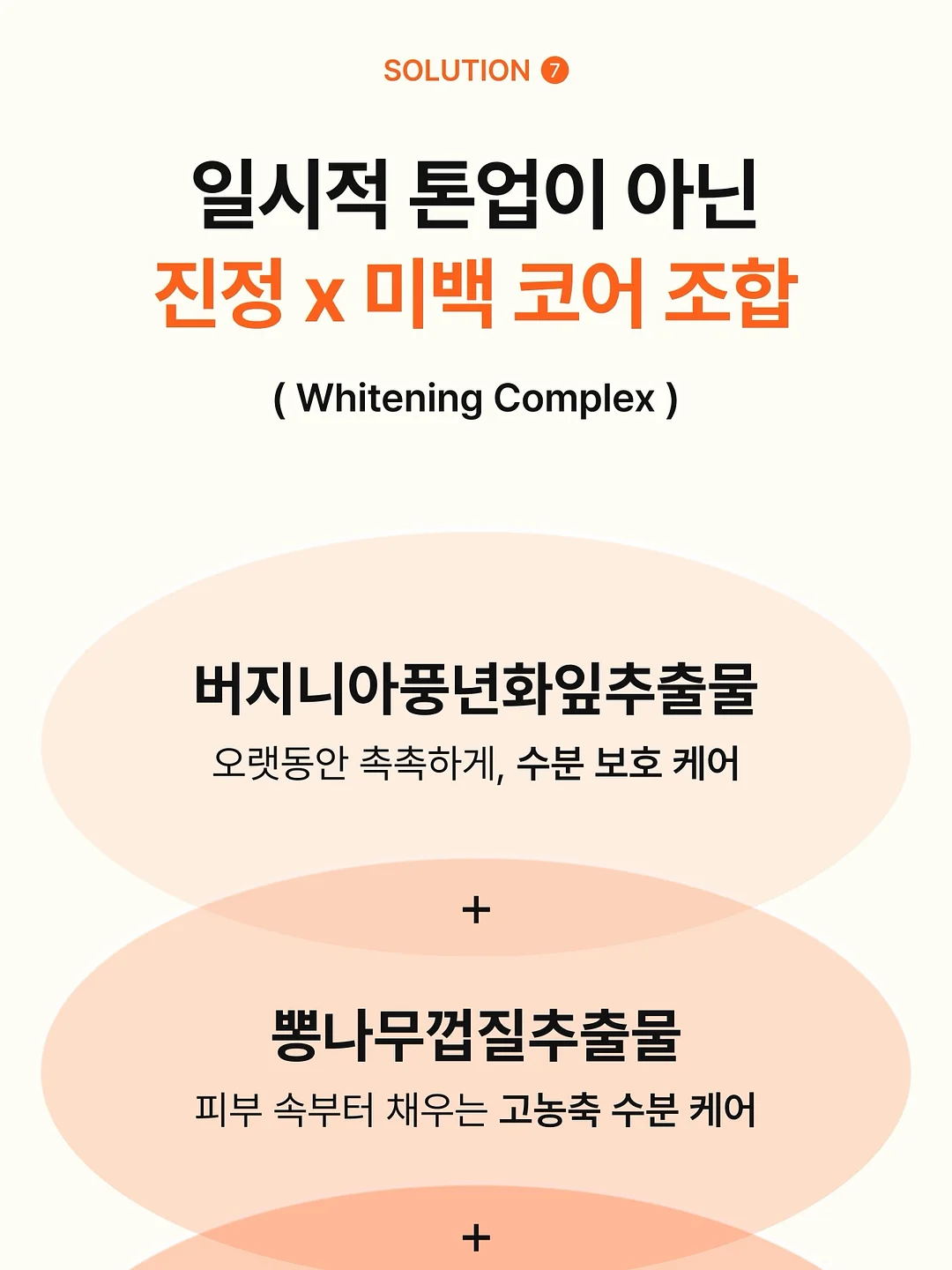 토끼 귀 긱시크 안경 케이스 8