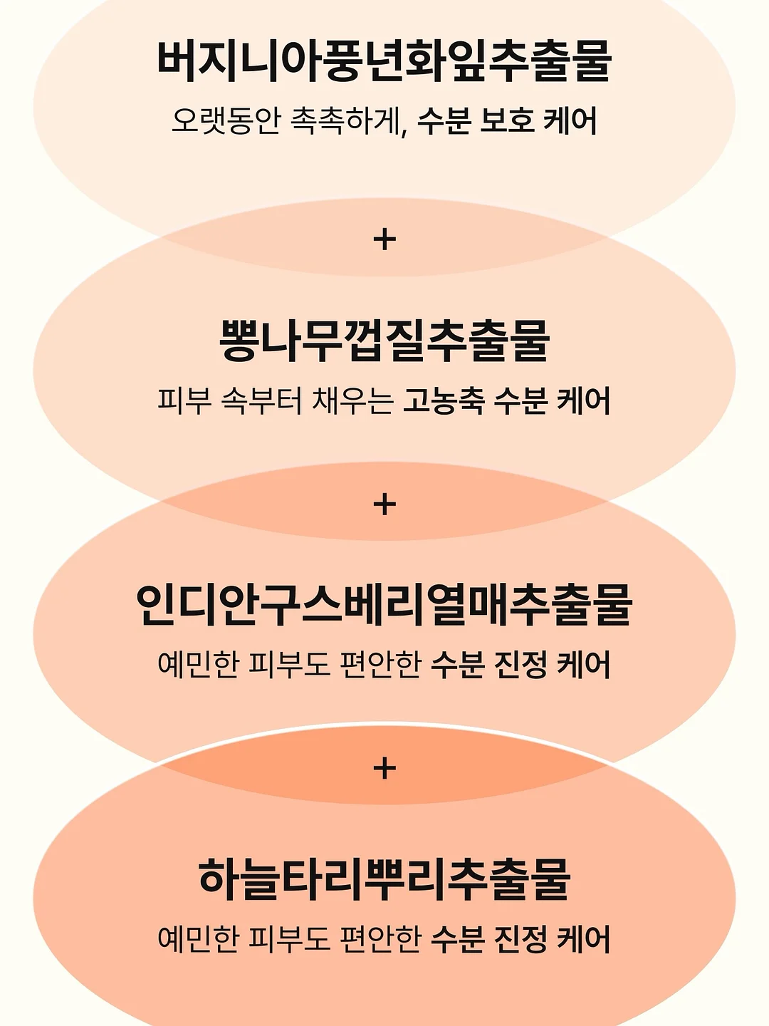 토끼 귀 긱시크 안경 케이스 9