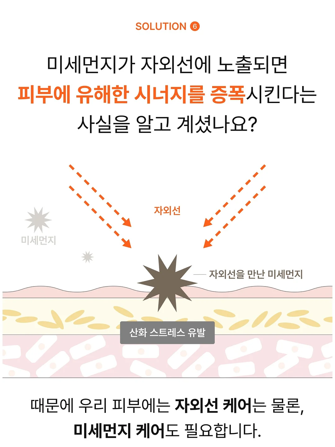 토끼 귀 긱시크 안경 케이스 10