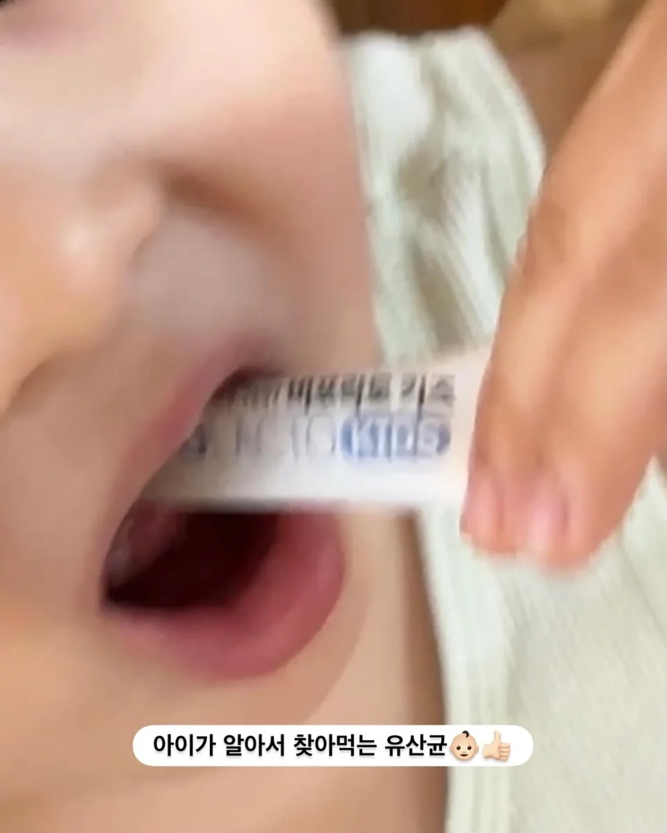 치즈 크런치 슬랑이 5