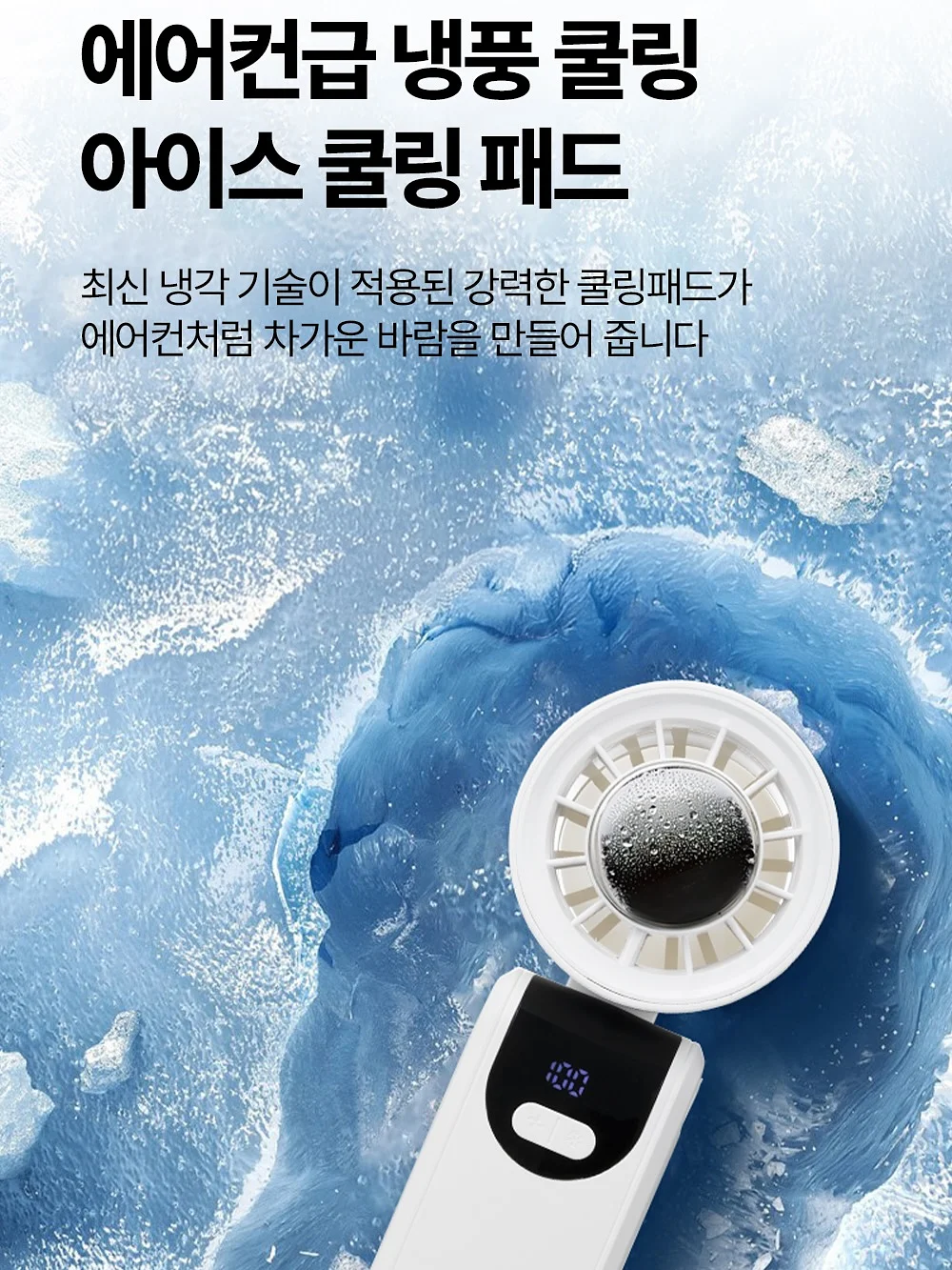 샘플 세일 라이브 11