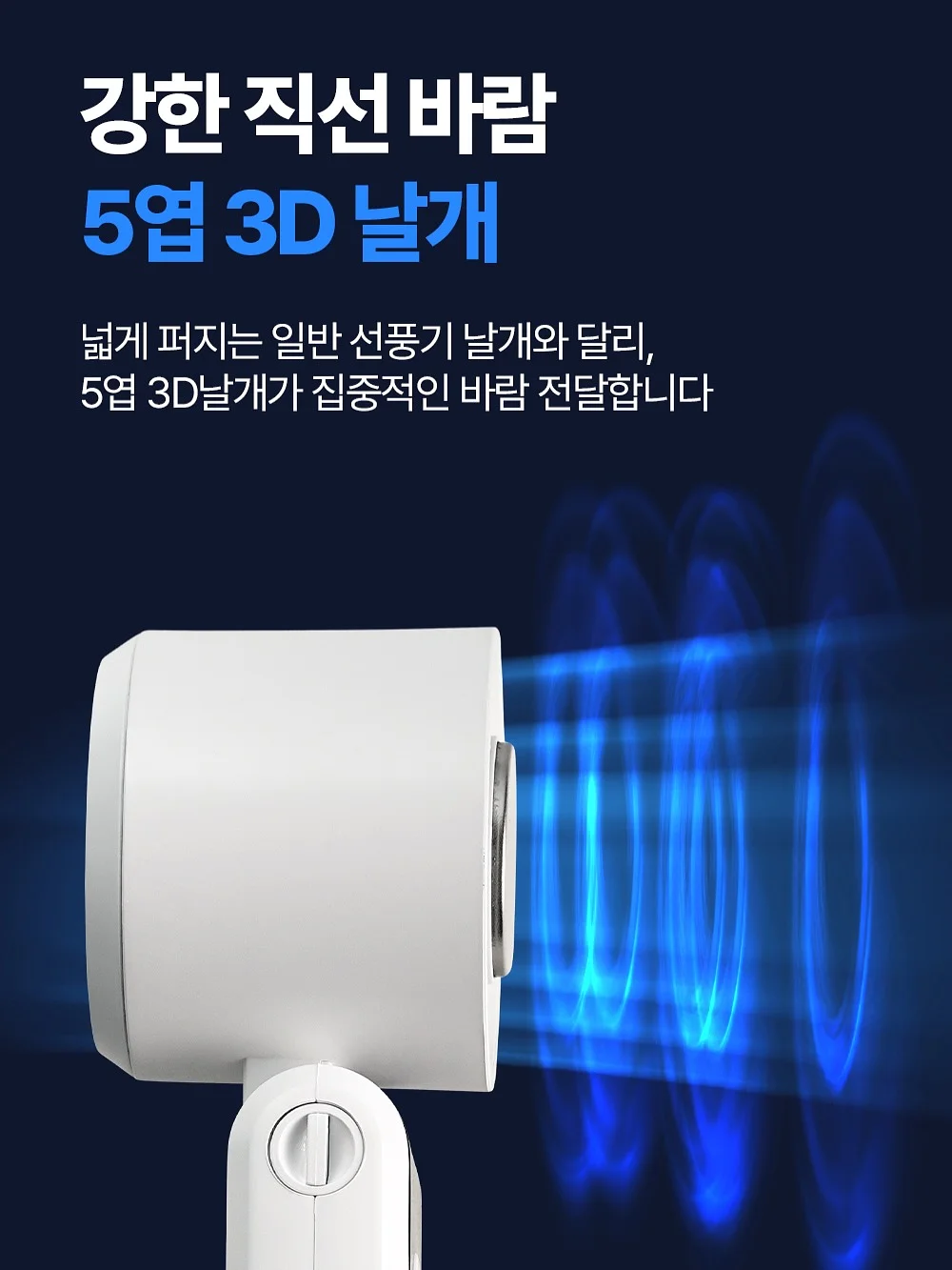 샘플 세일 라이브 12
