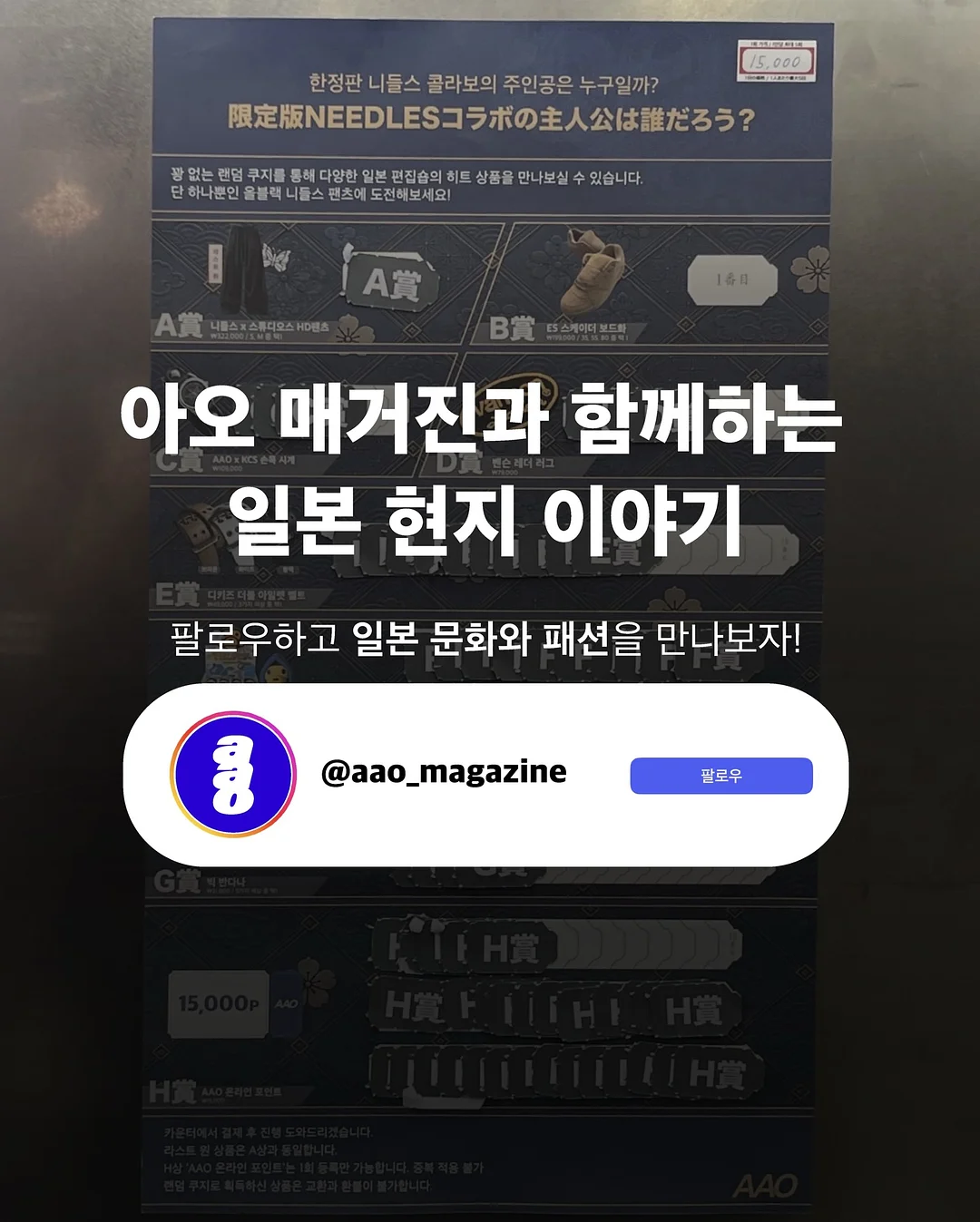 살구 13