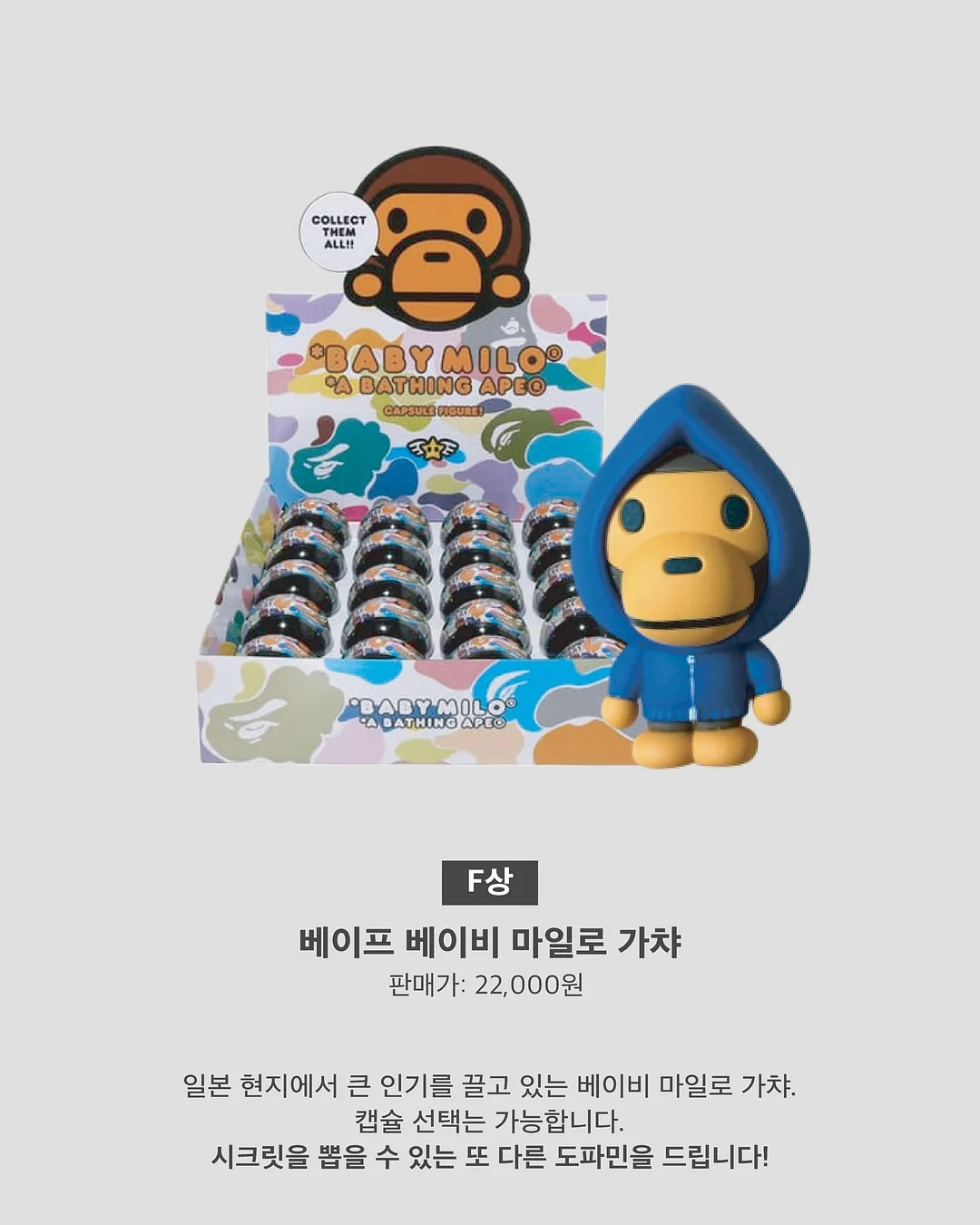 살구 8