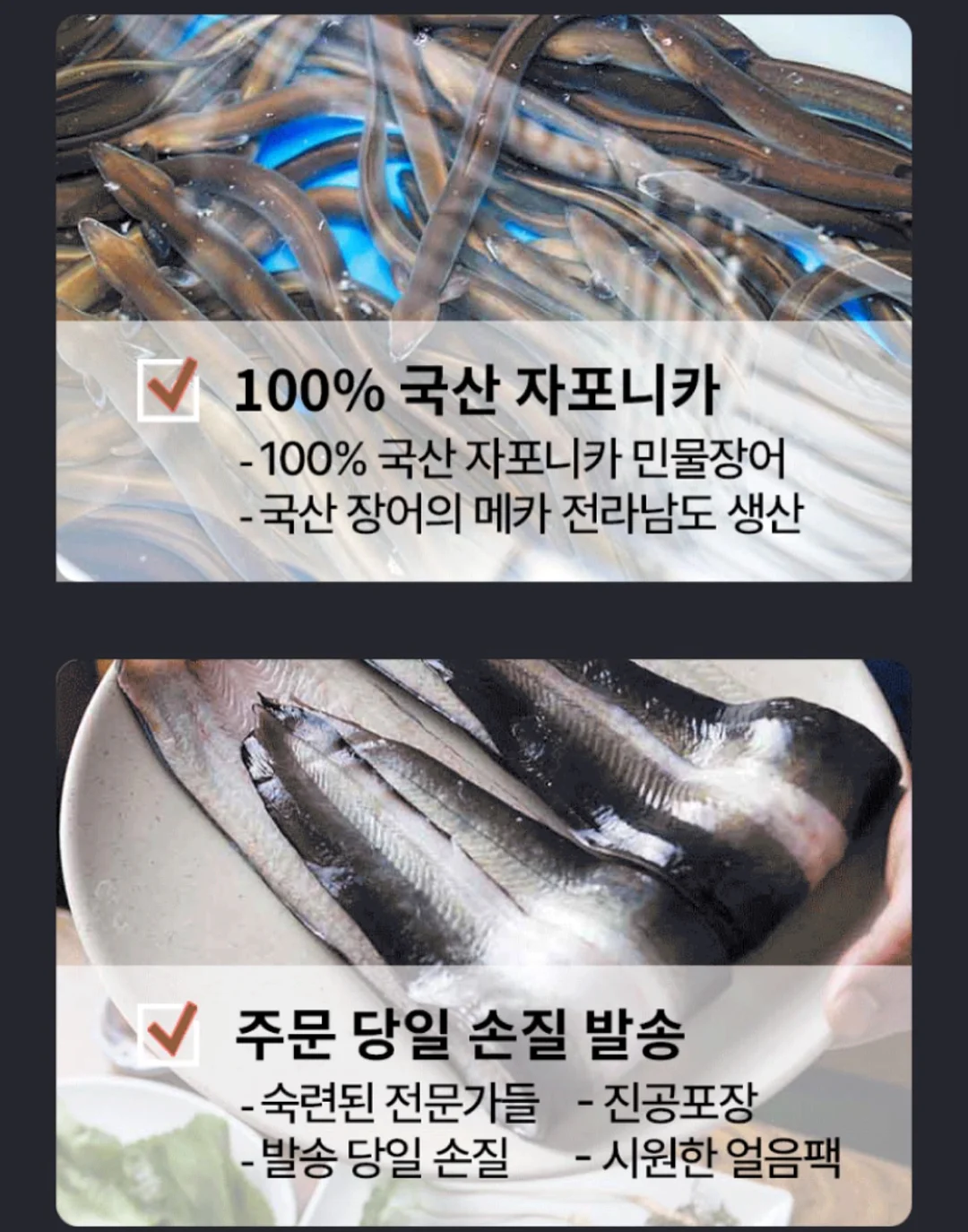 강아지 가방 4