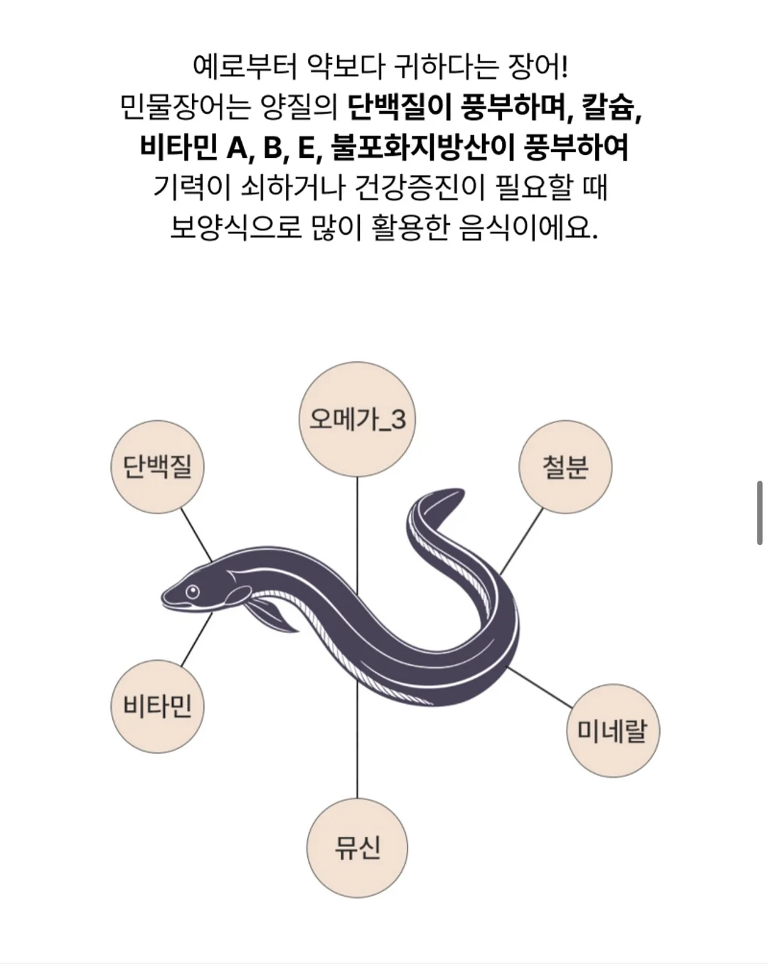 강아지 가방 7
