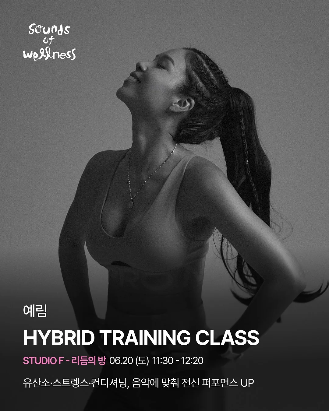 기업행사 도시락 1