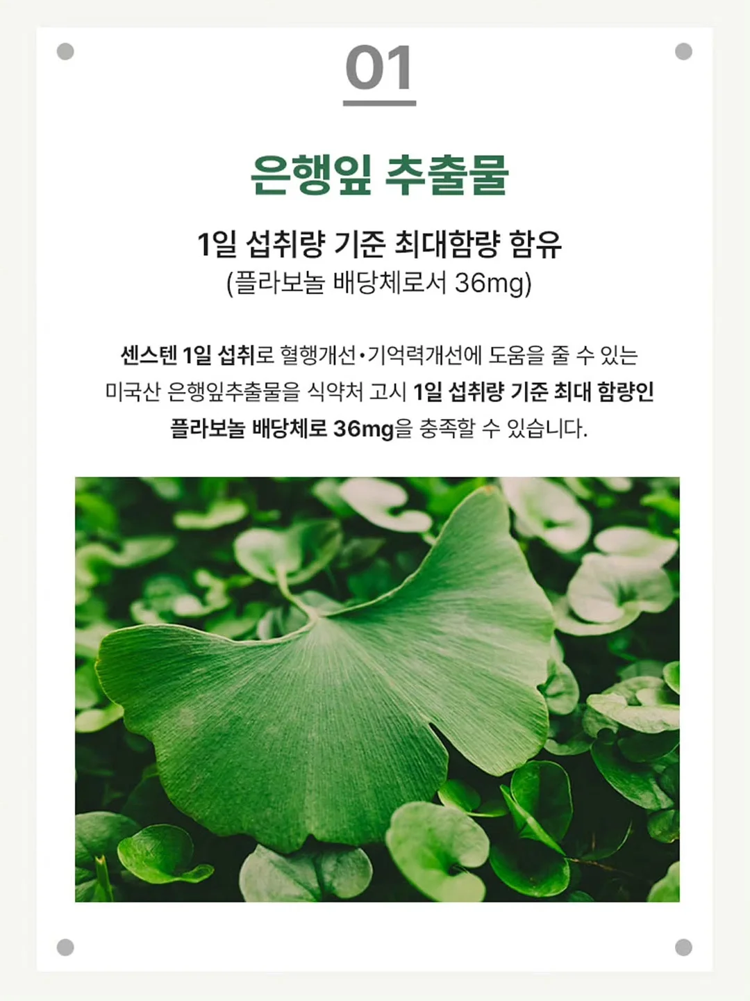 검정 신발 3