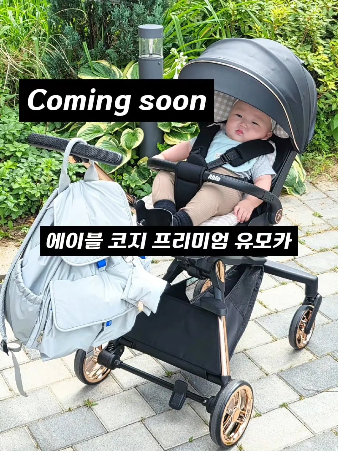 단백질 쉐이크 1