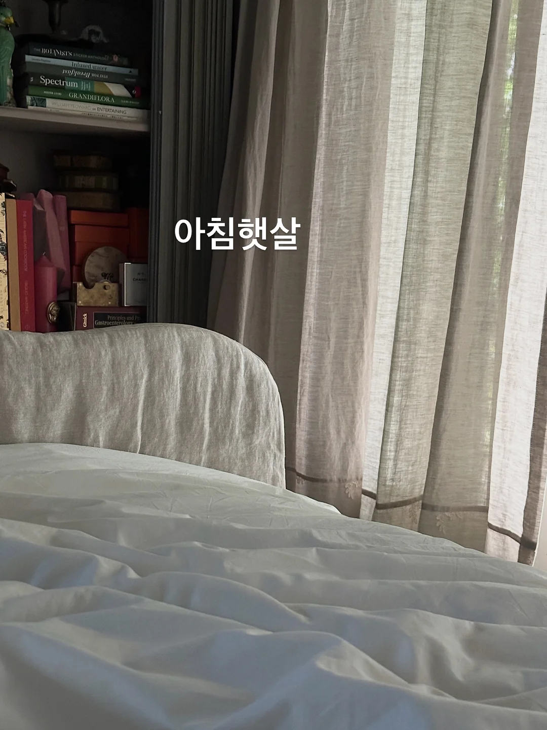 산딸기 10