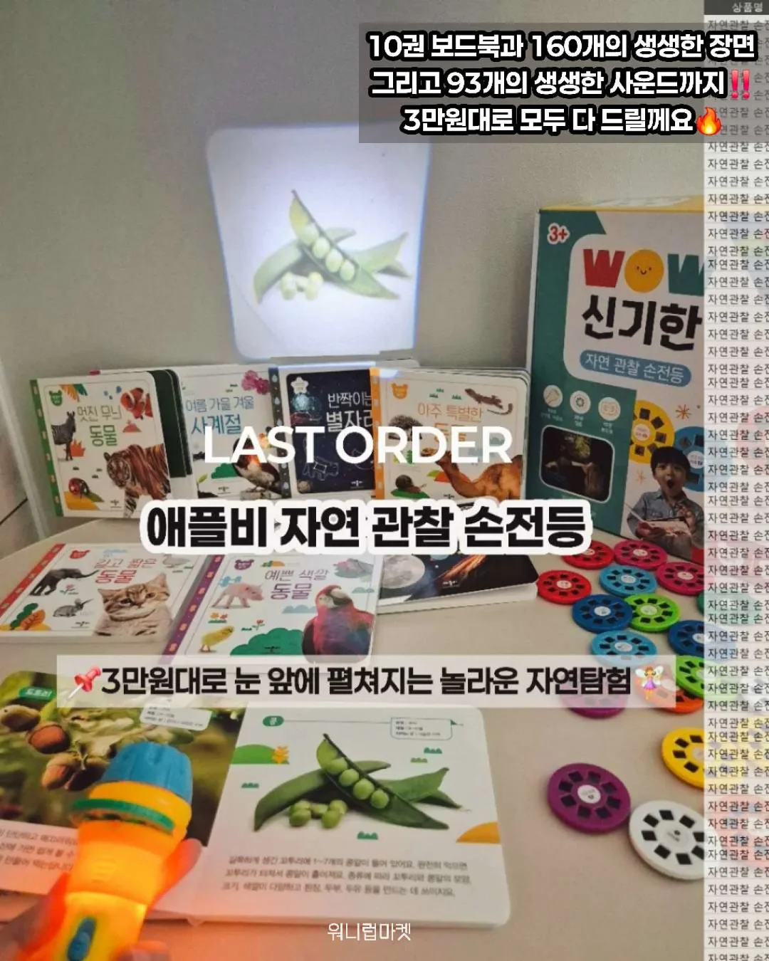 키티 마들렌 클래스