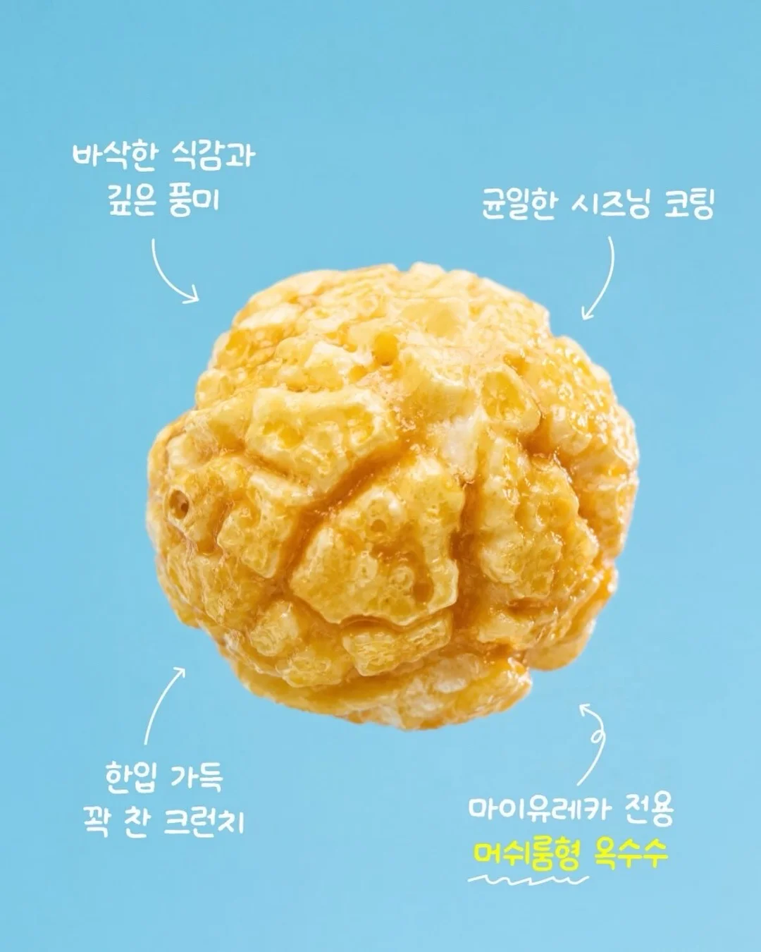 노스 솔리드 19