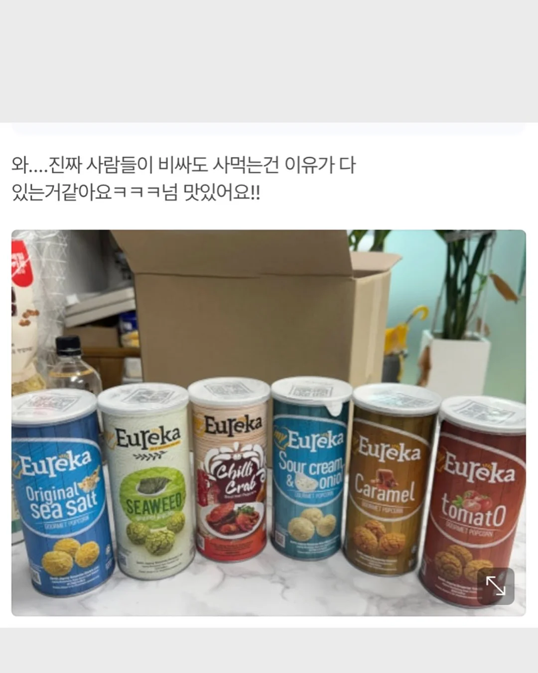 노스 솔리드 4