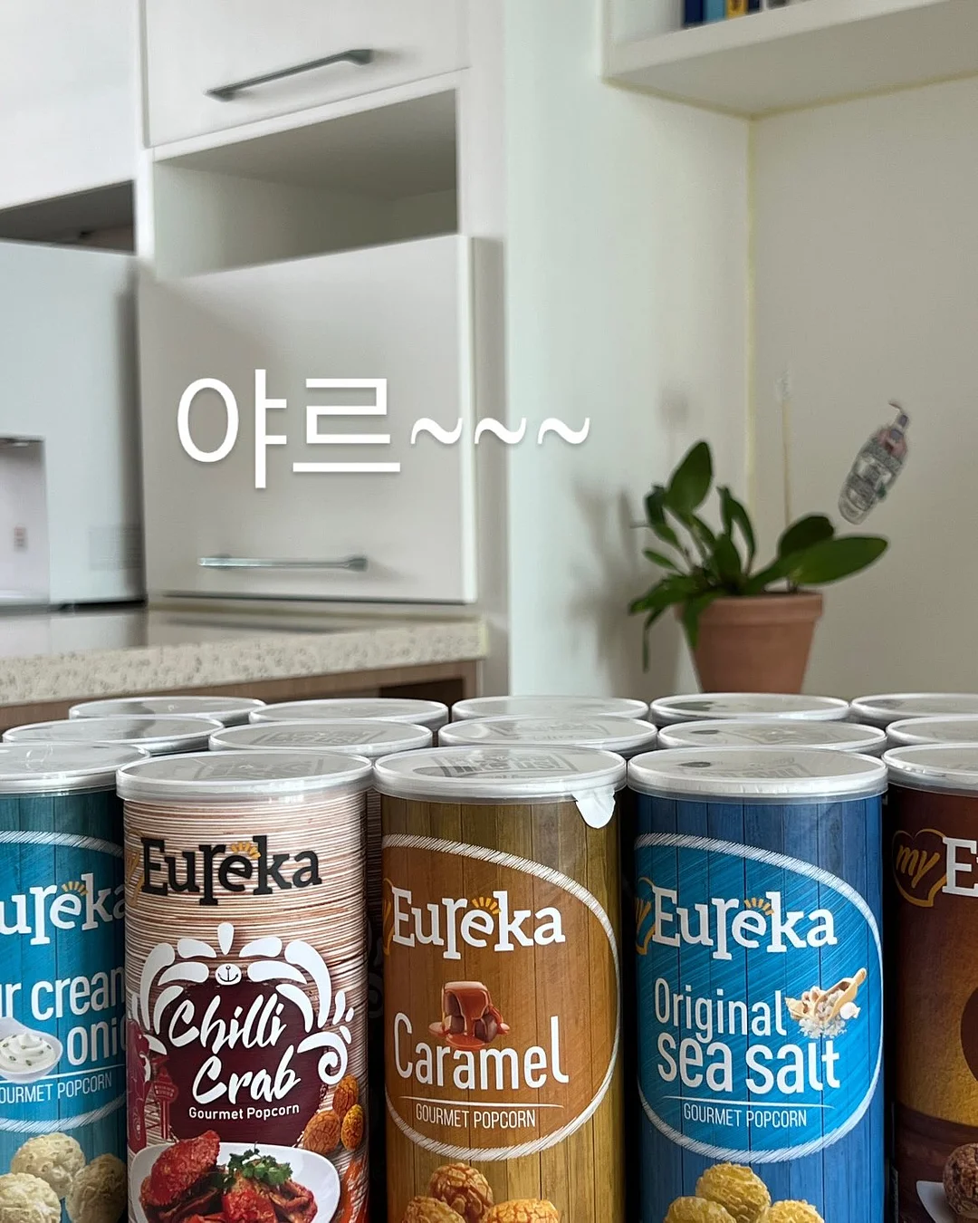 노스 솔리드 10