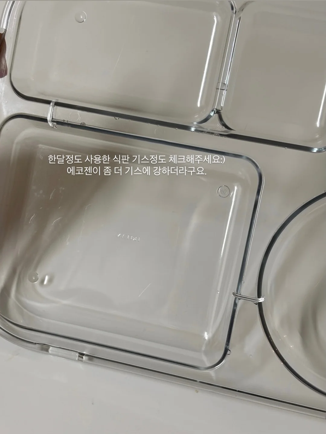 아카시아 튜브 꿀 + 스틱꿀 10