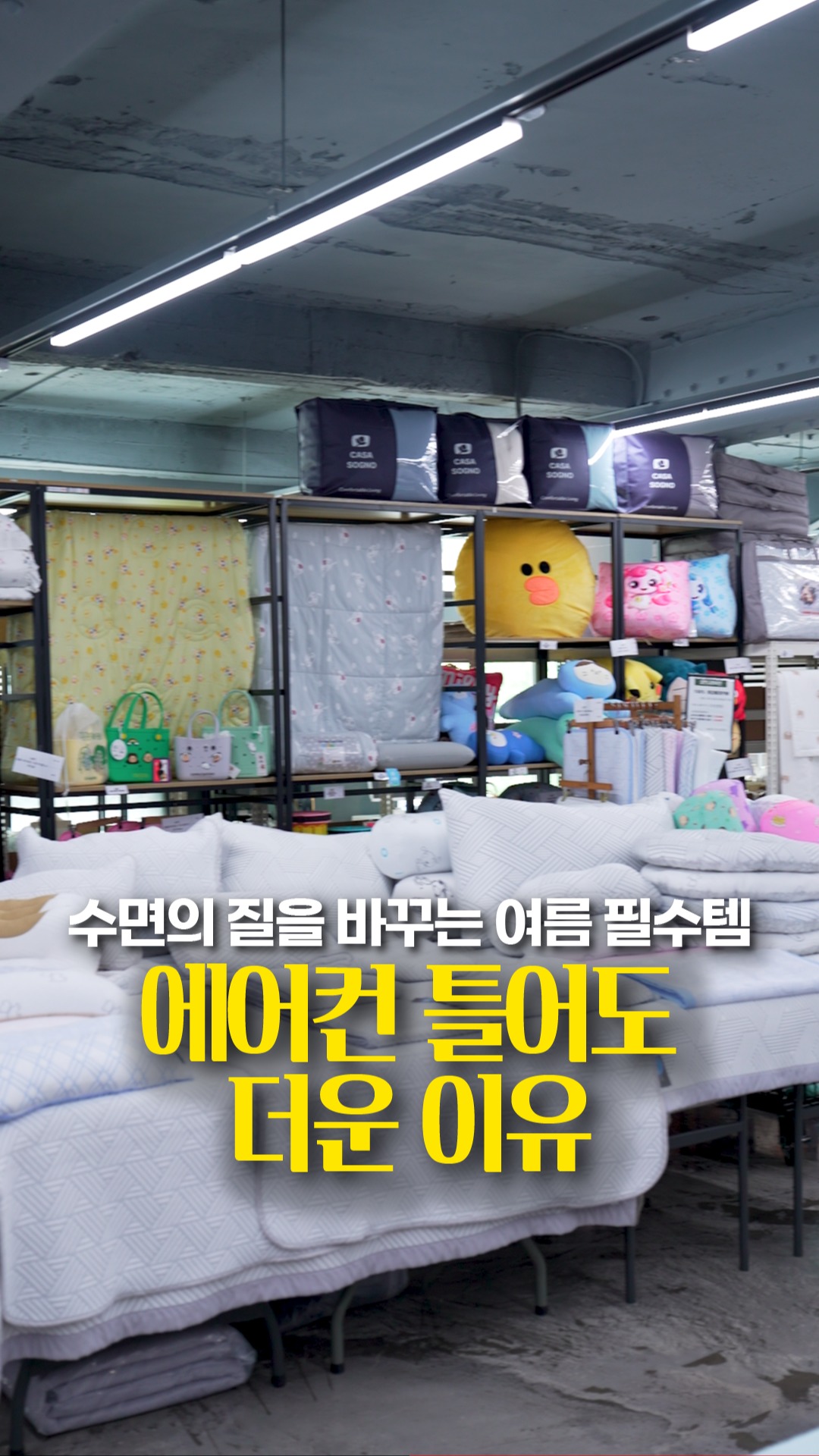 호야