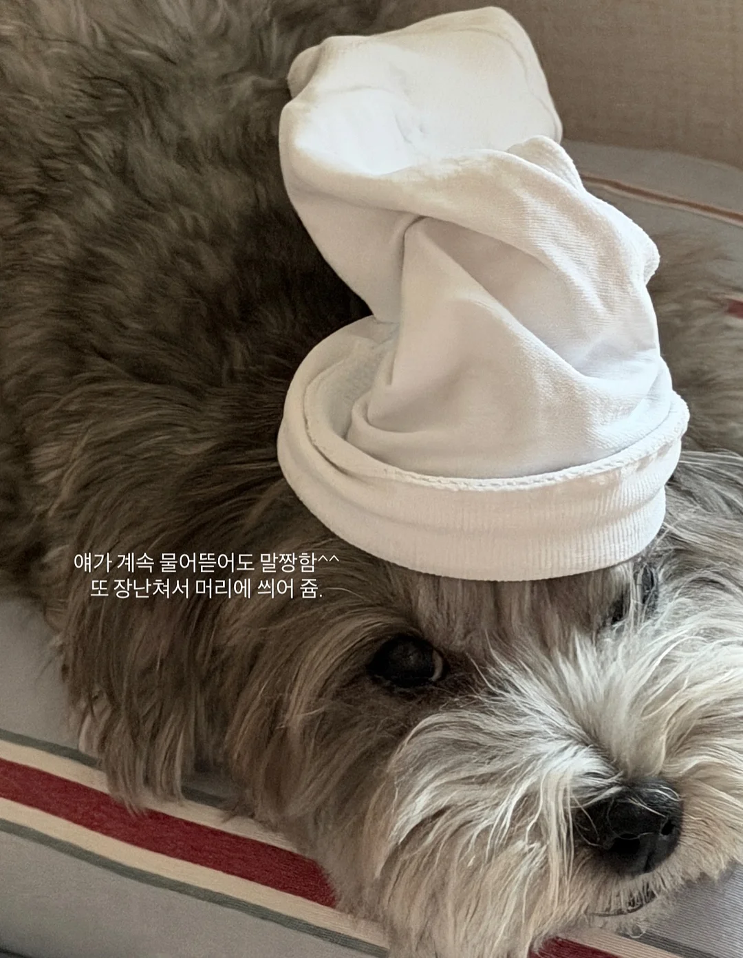 미니멀 맥세이프 거치대 10