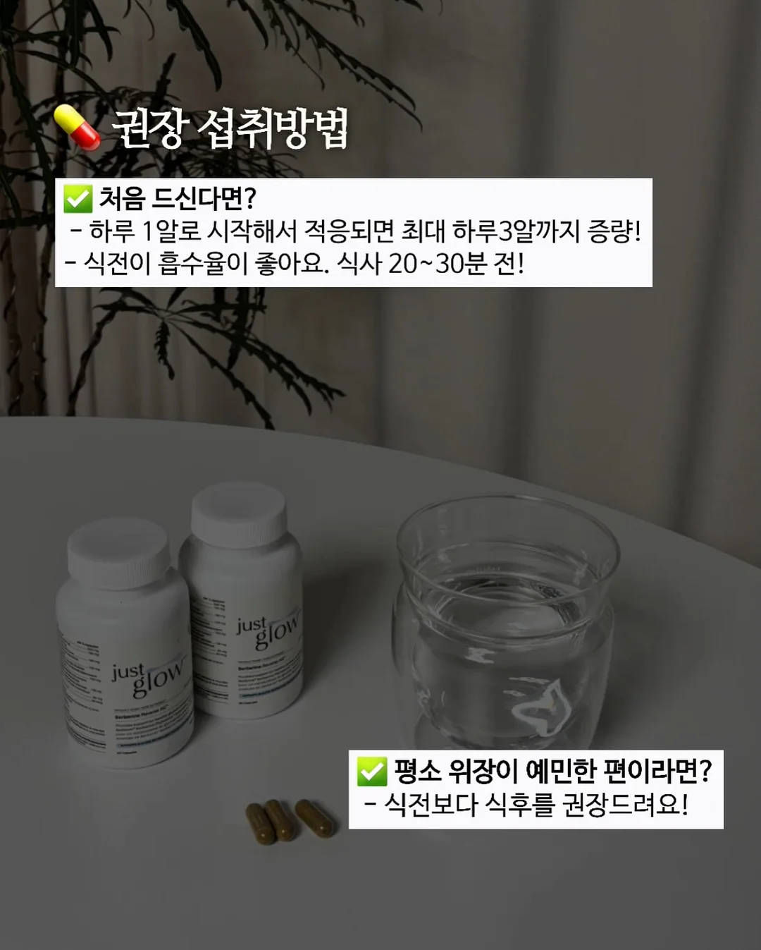 보냉 도시락통 5