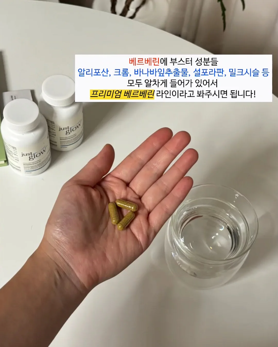 보냉 도시락통 7