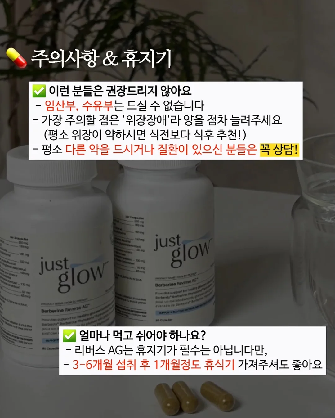 보냉 도시락통 8