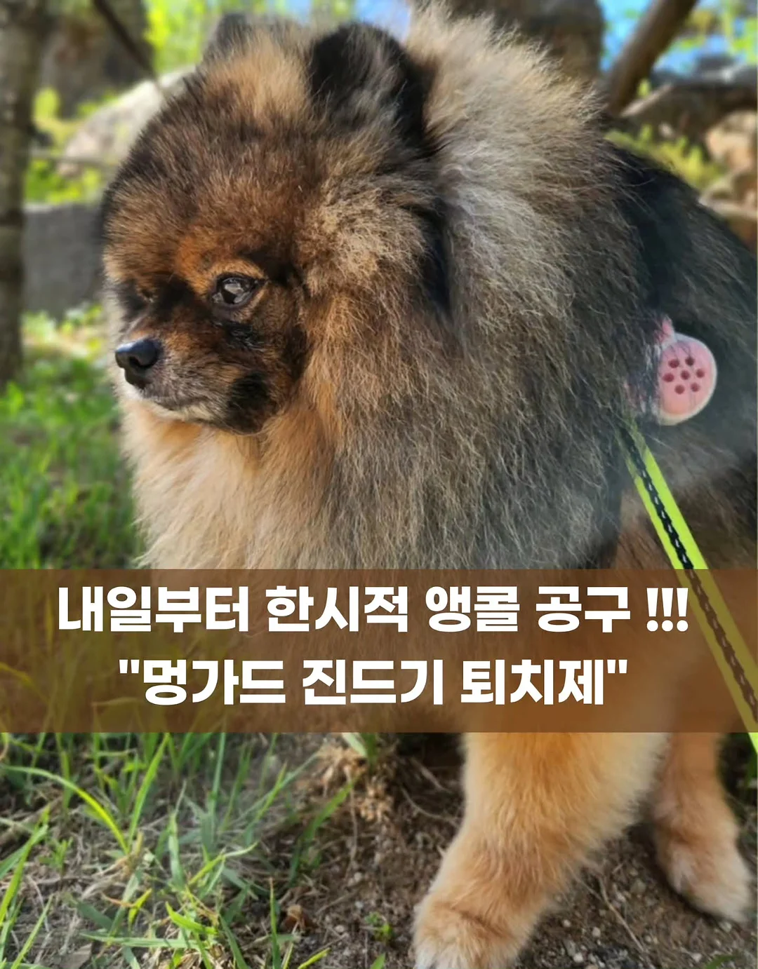 바로스쿨 멤버십 1