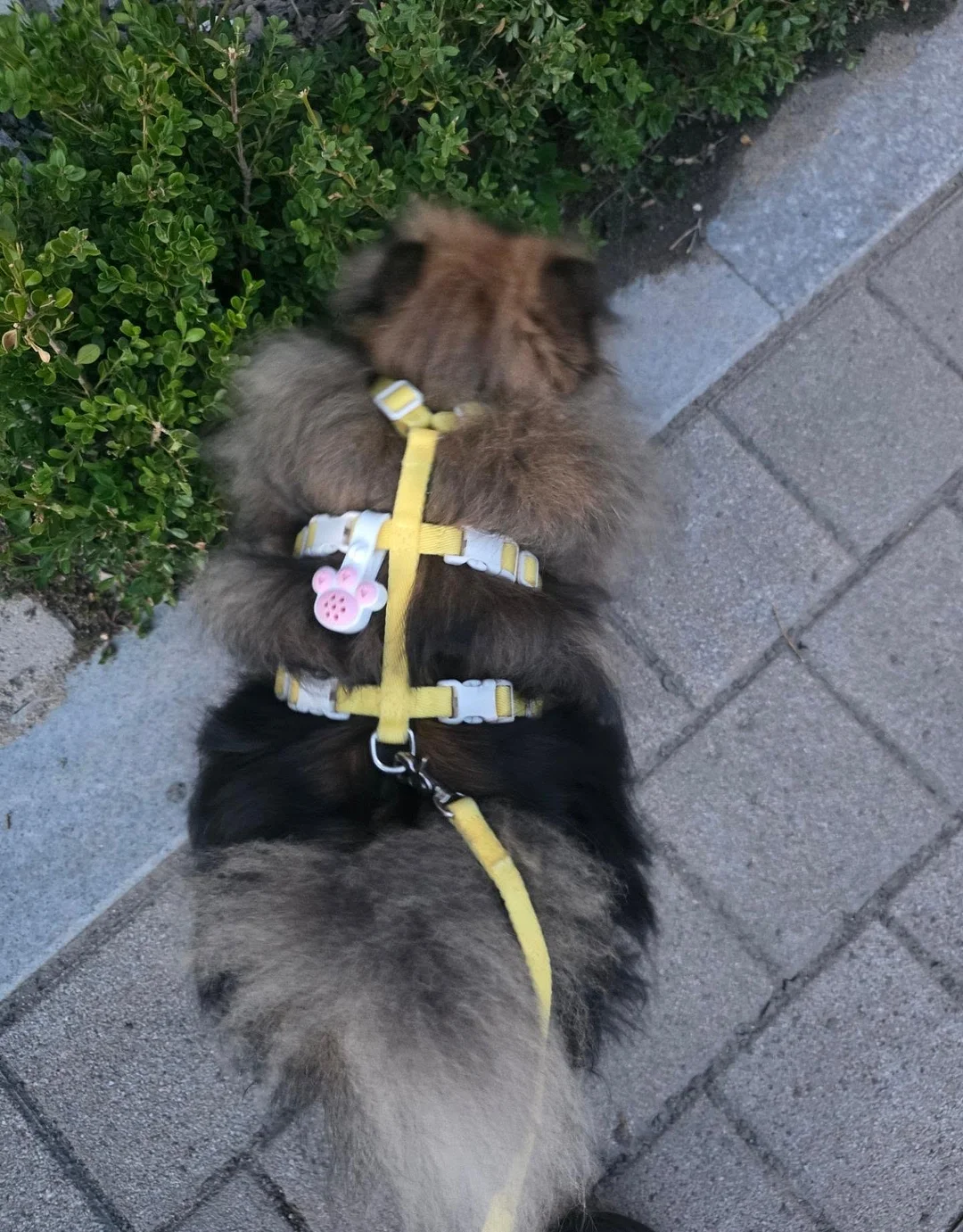 바로스쿨 멤버십 4