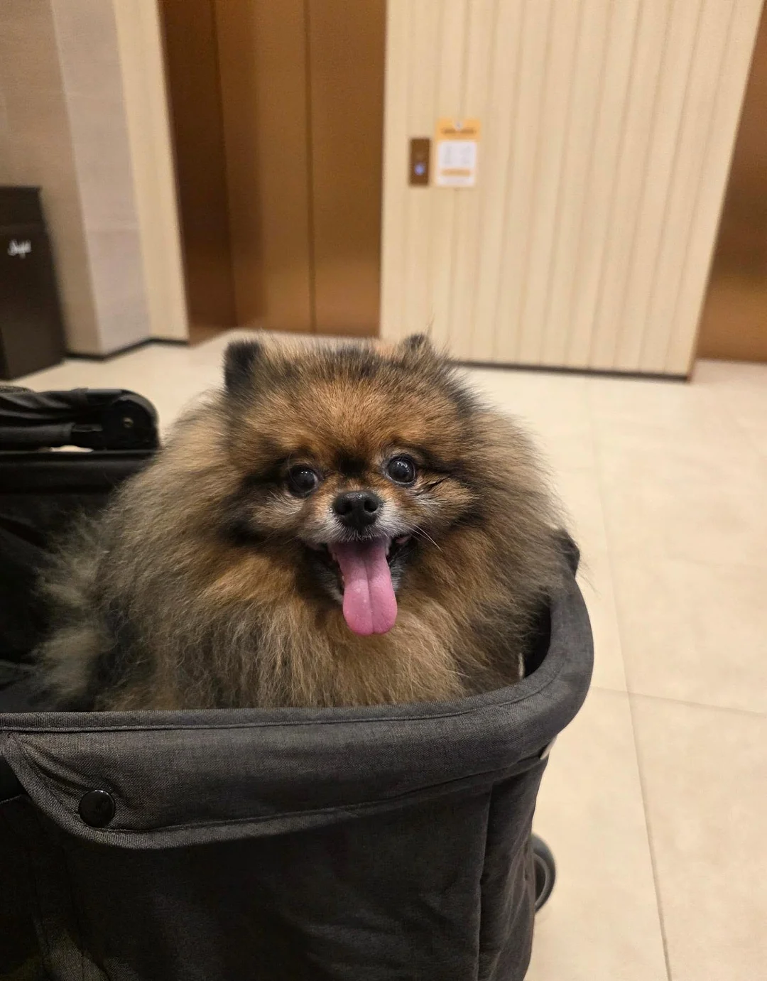 바로스쿨 멤버십 6