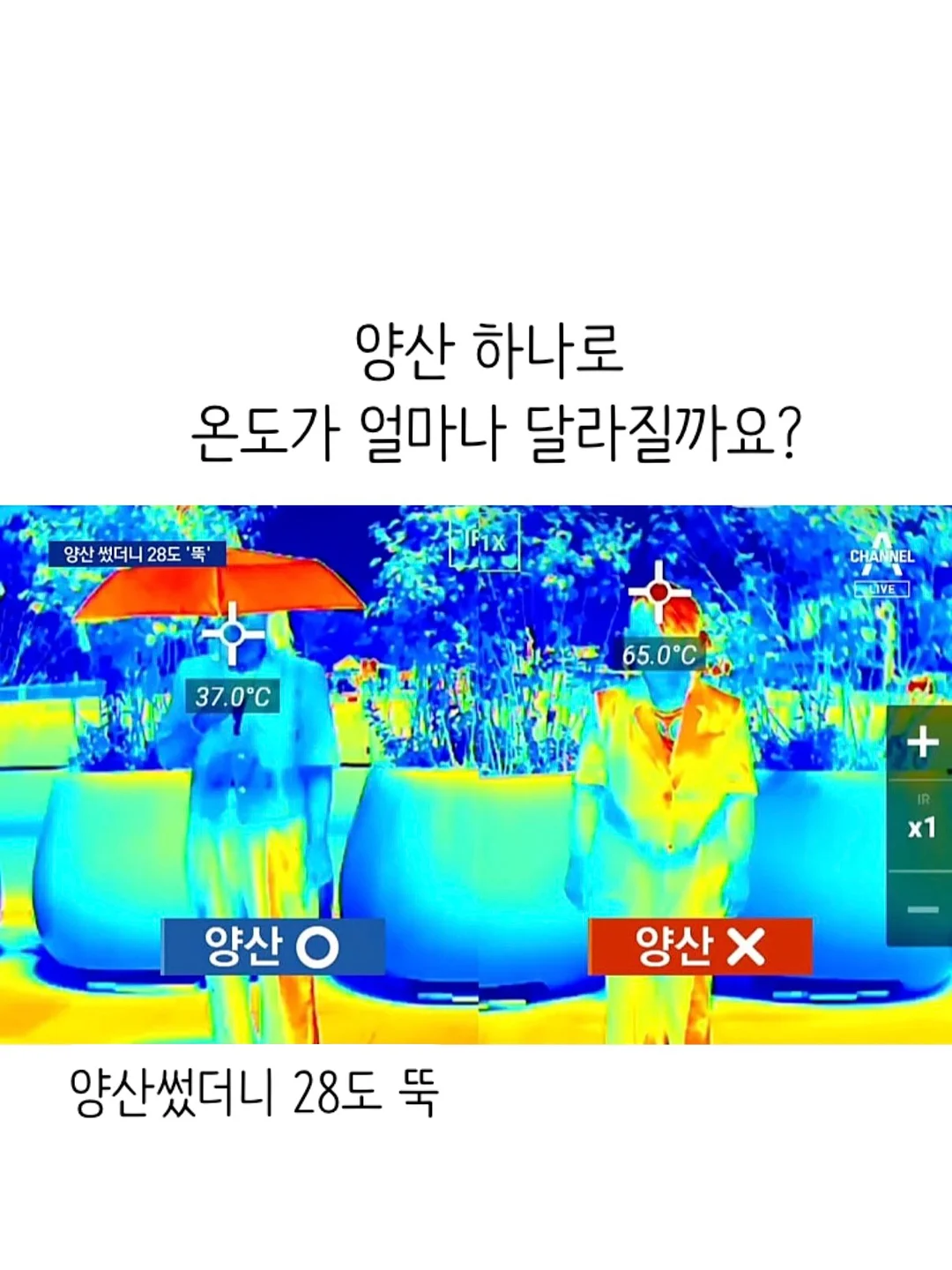 MSGM 오버핏 맨투맨 원피스 5