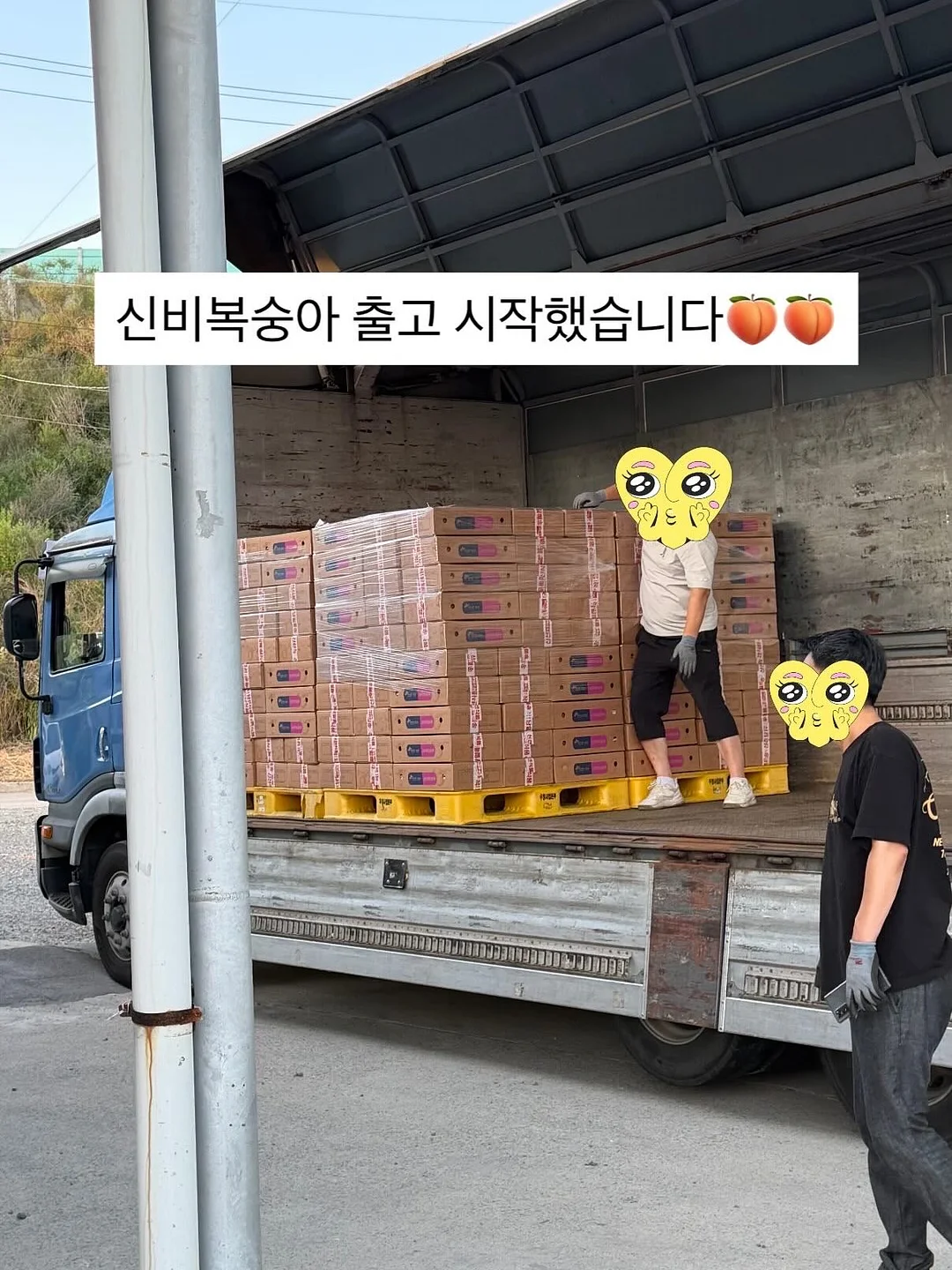 바버 라피아 숄더백 16