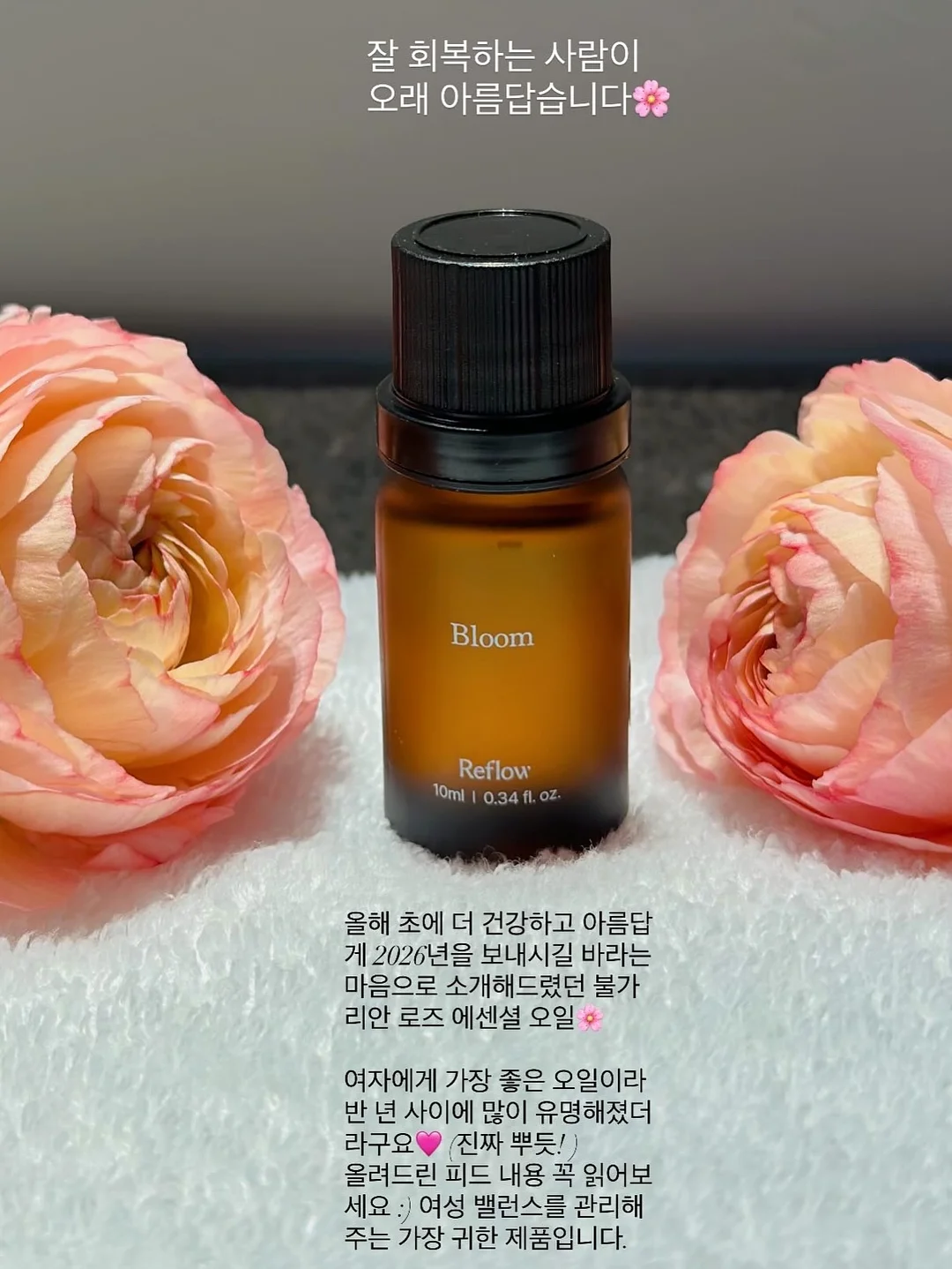 양파 보관 용기 3