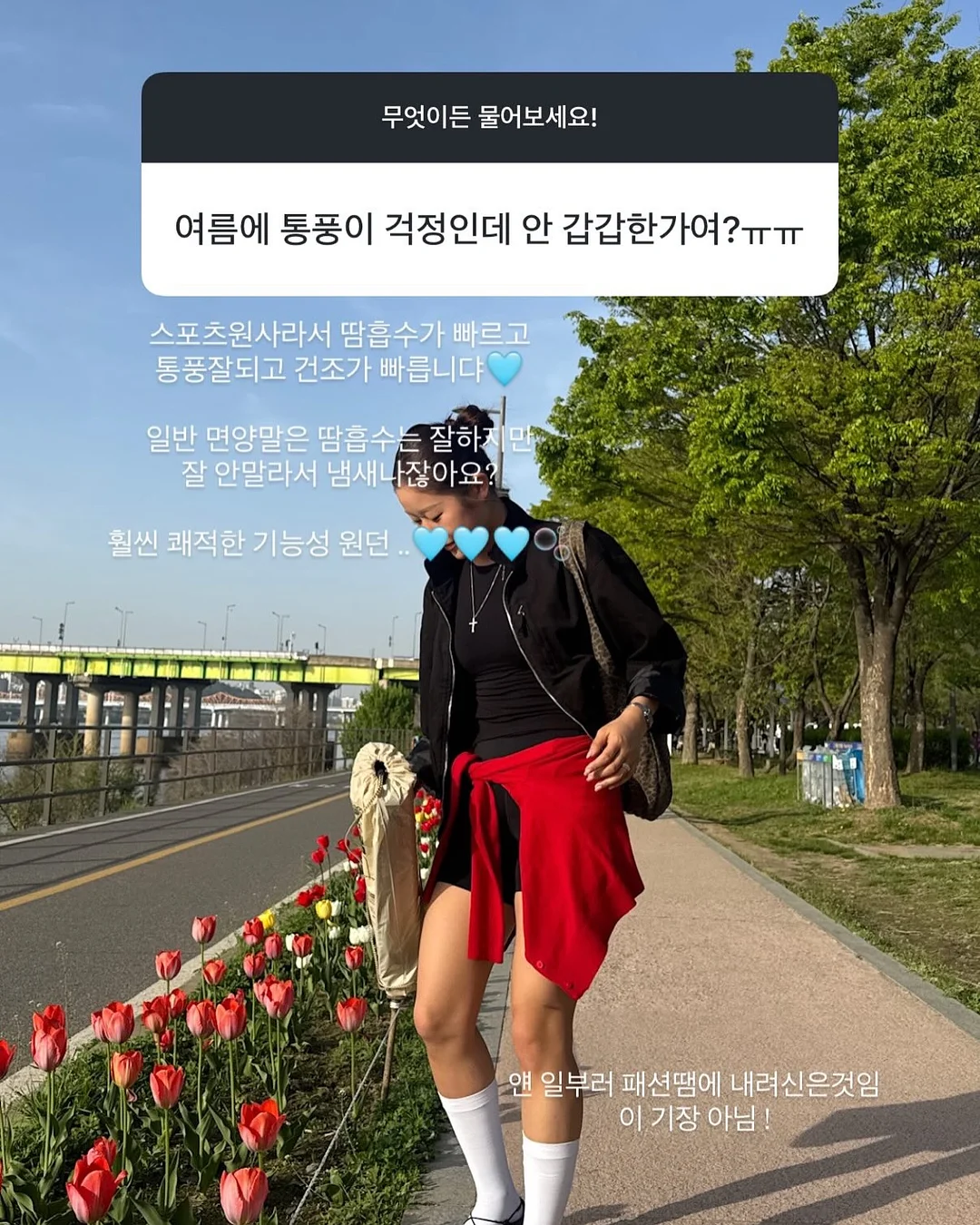 가비채 6