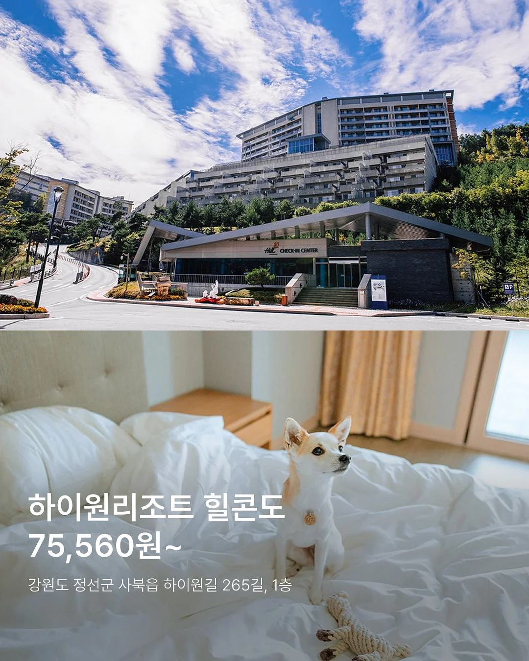 아기 선글라스 2
