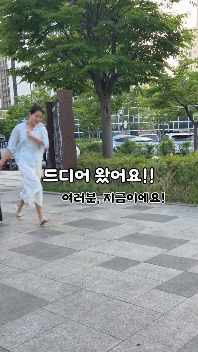 닥터베크만 인덕션 전용 세정제