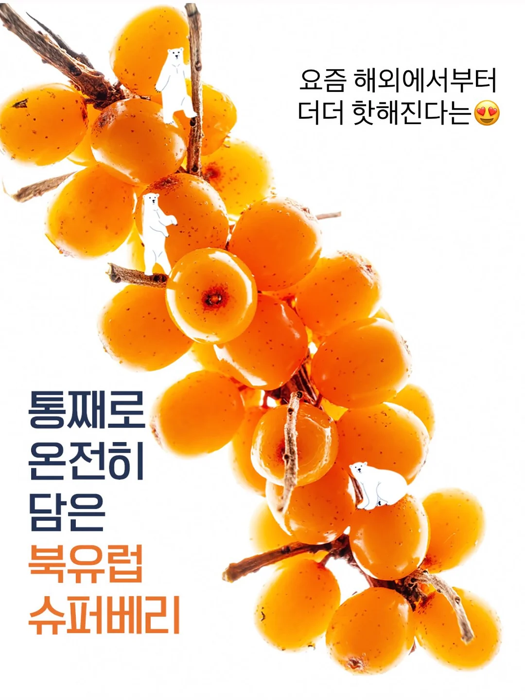 쌀로별 달고나맛 19
