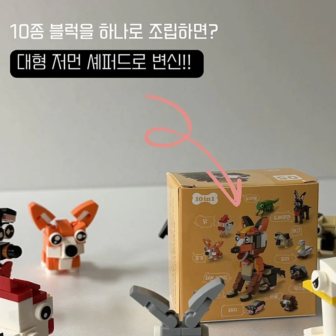 정규•원데이클래스 8