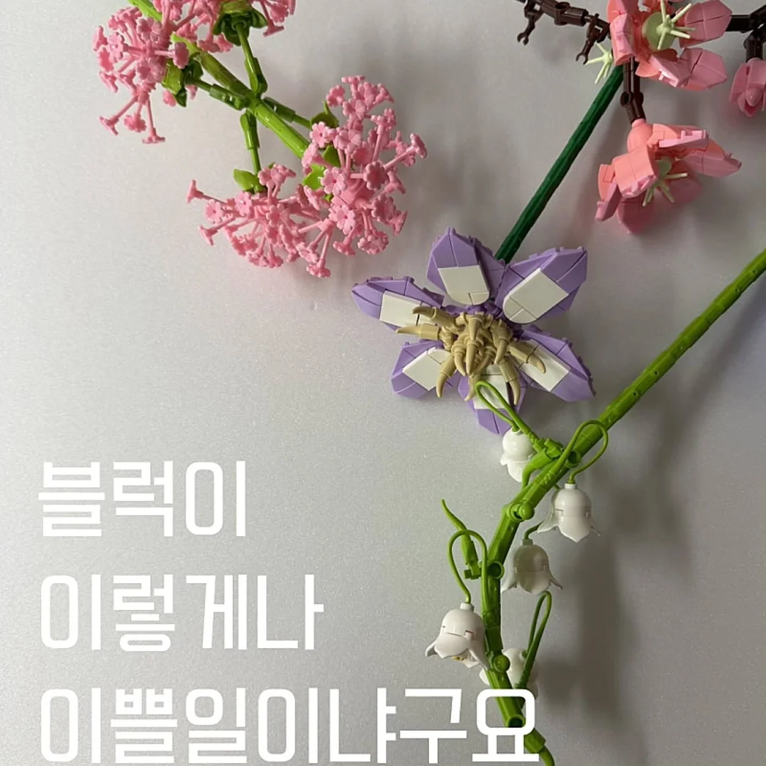 정규•원데이클래스 10