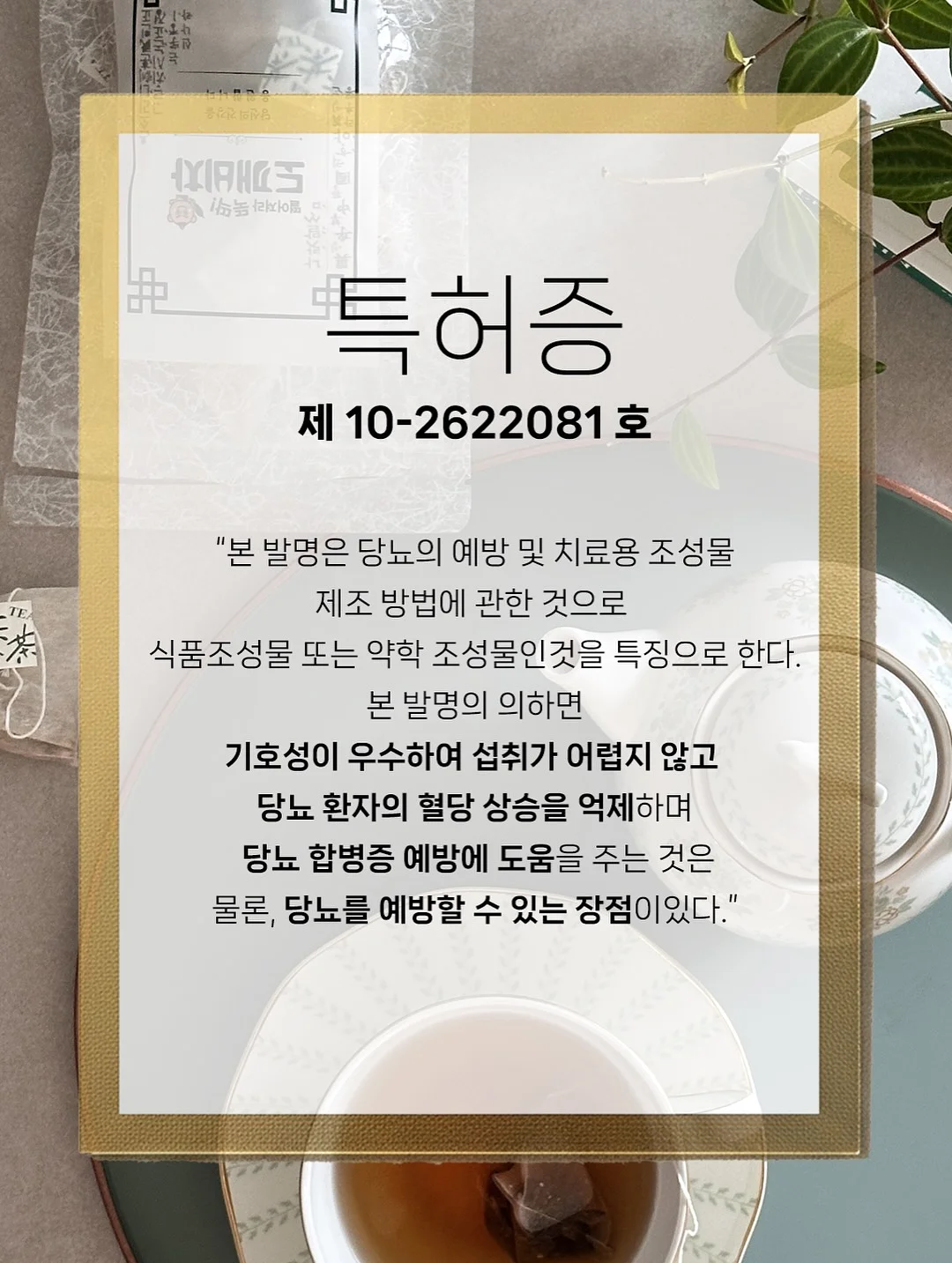 사과정과 꽃 2