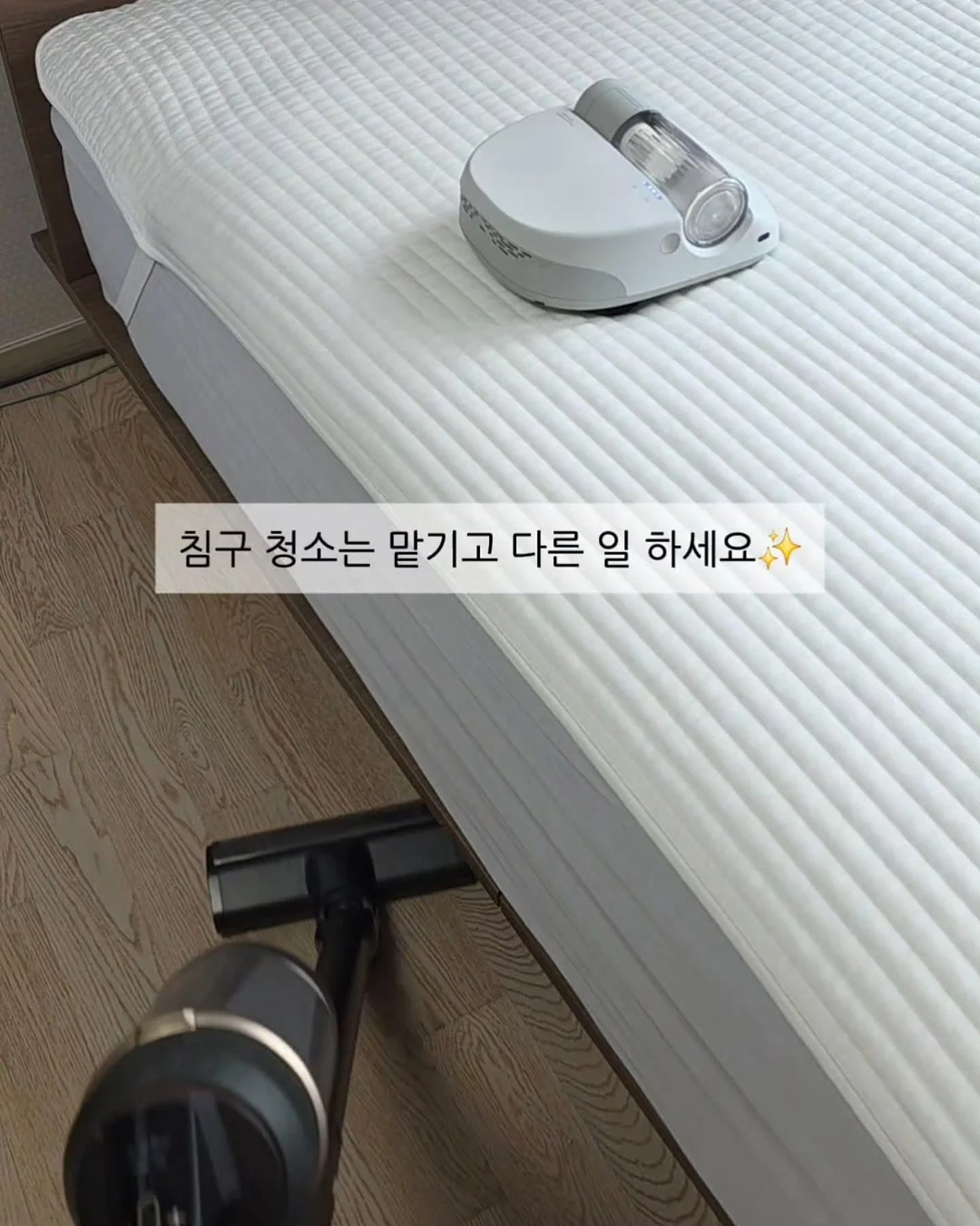 광채쿠션 1