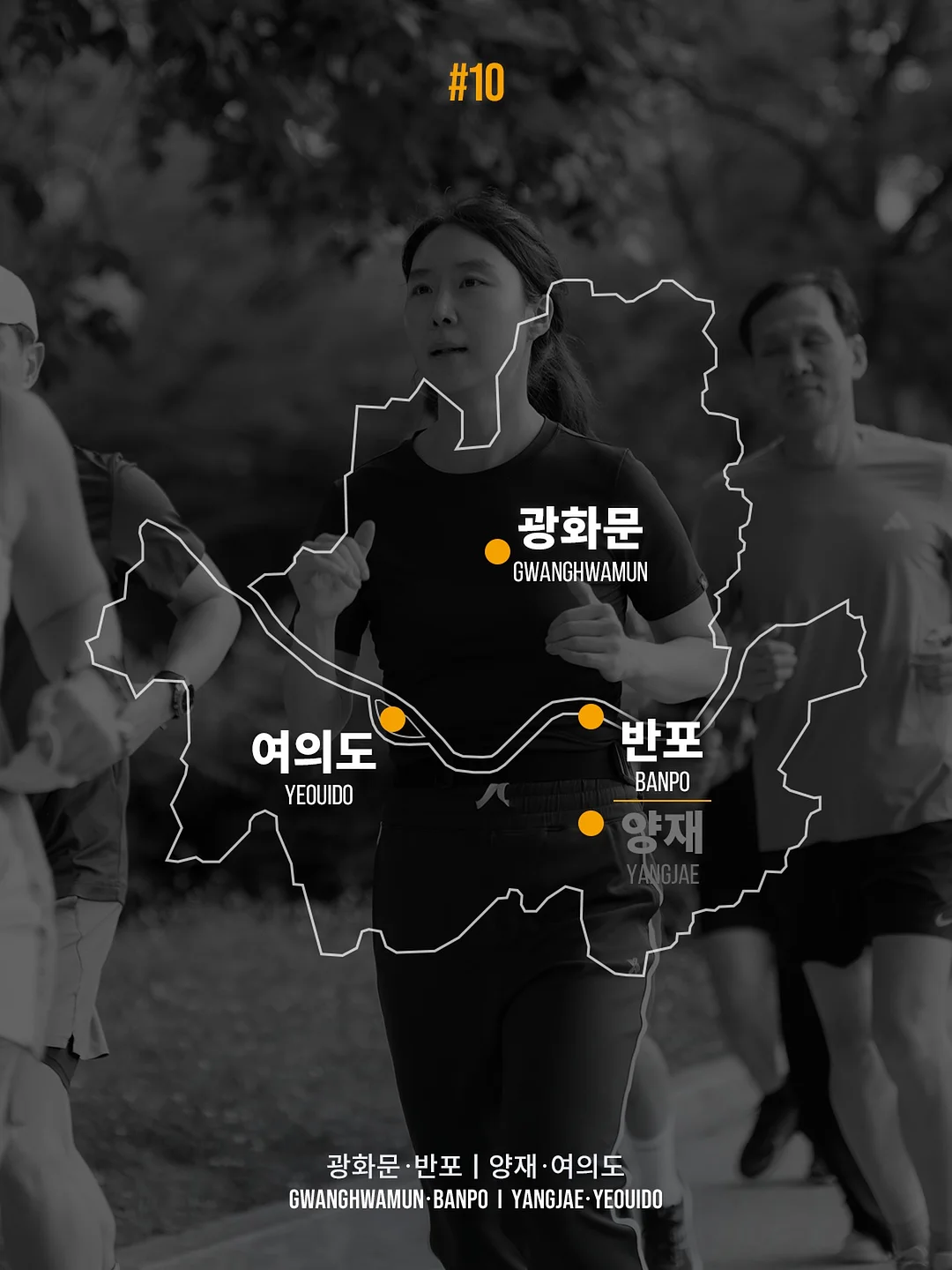 강아지 미용 해먹