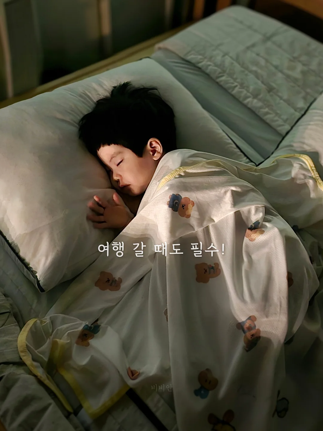 리페린넨브이니트 5
