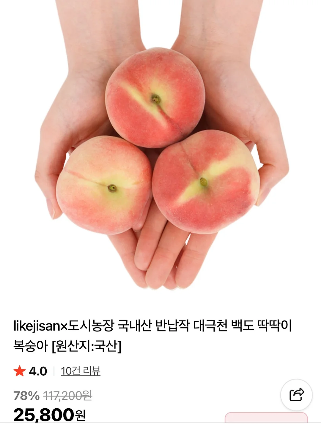 아이스 페이 점프수트 4