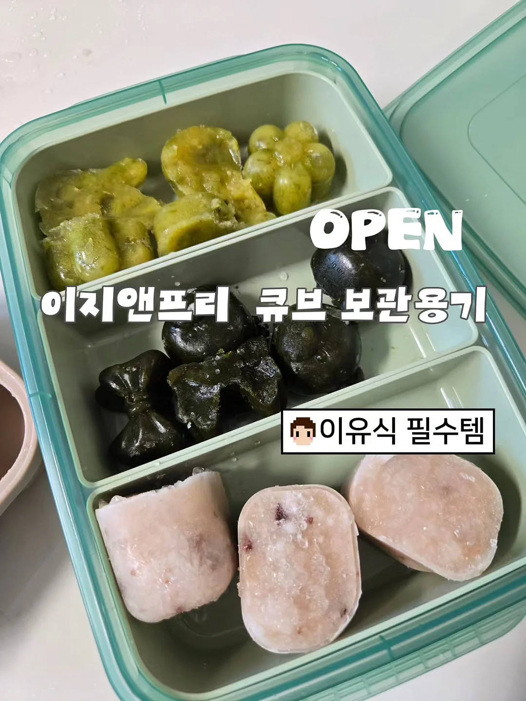 힐링 식물 1