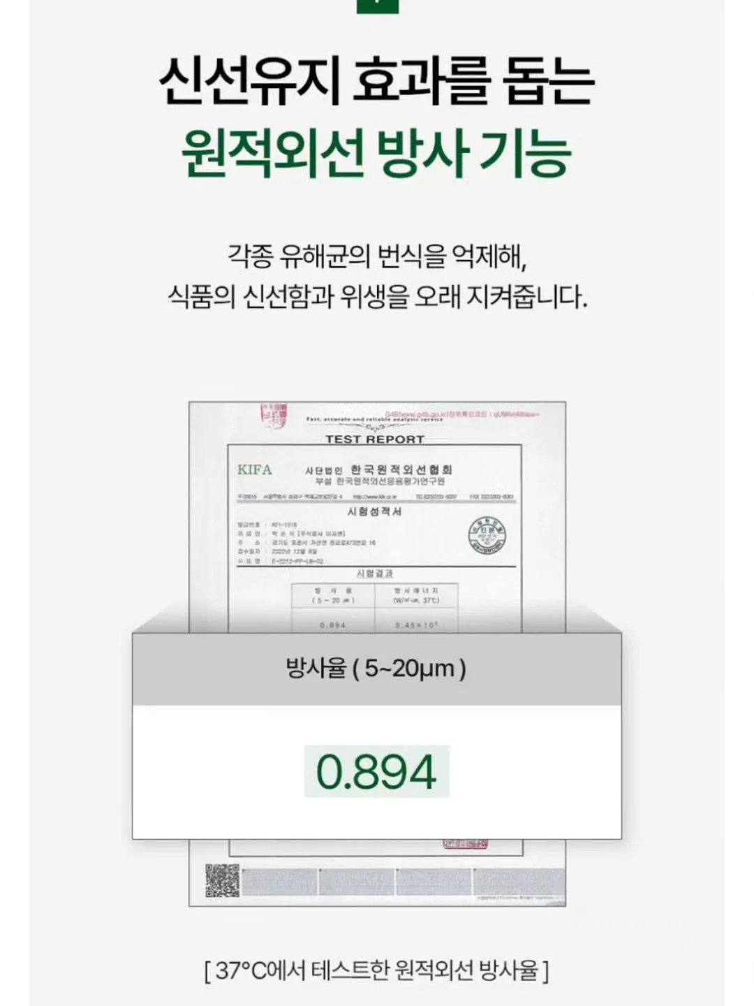 힐링 식물 12