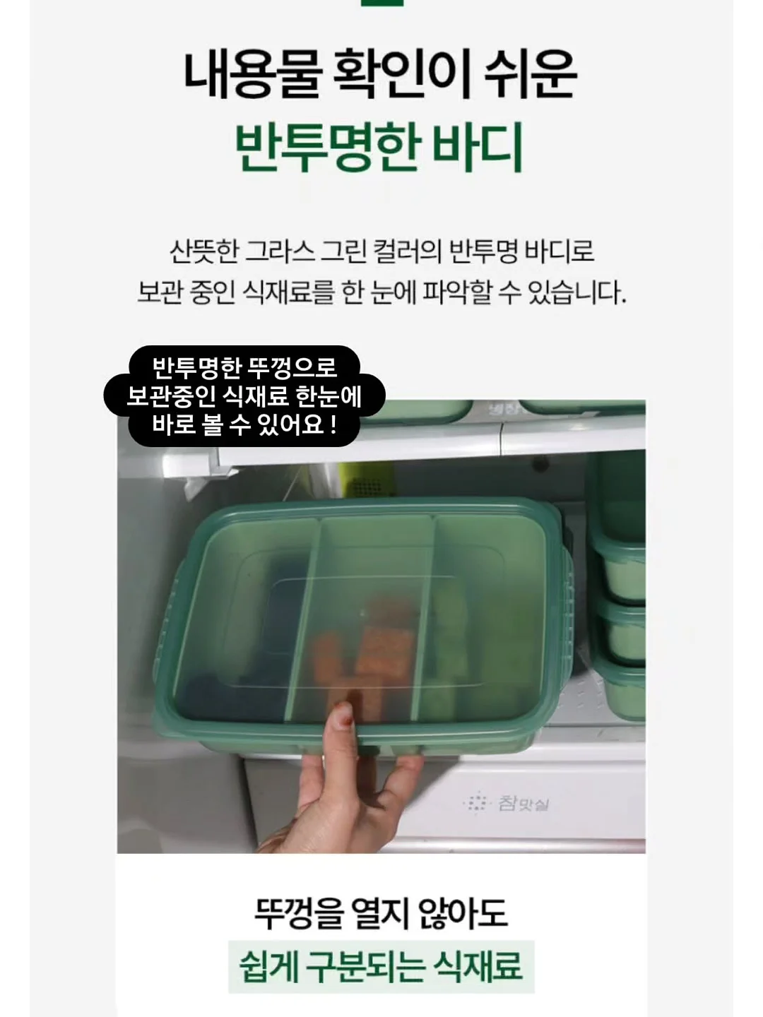 힐링 식물 14