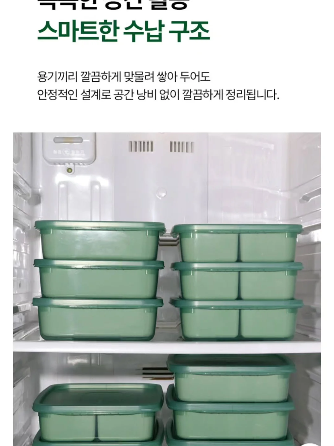 힐링 식물 18