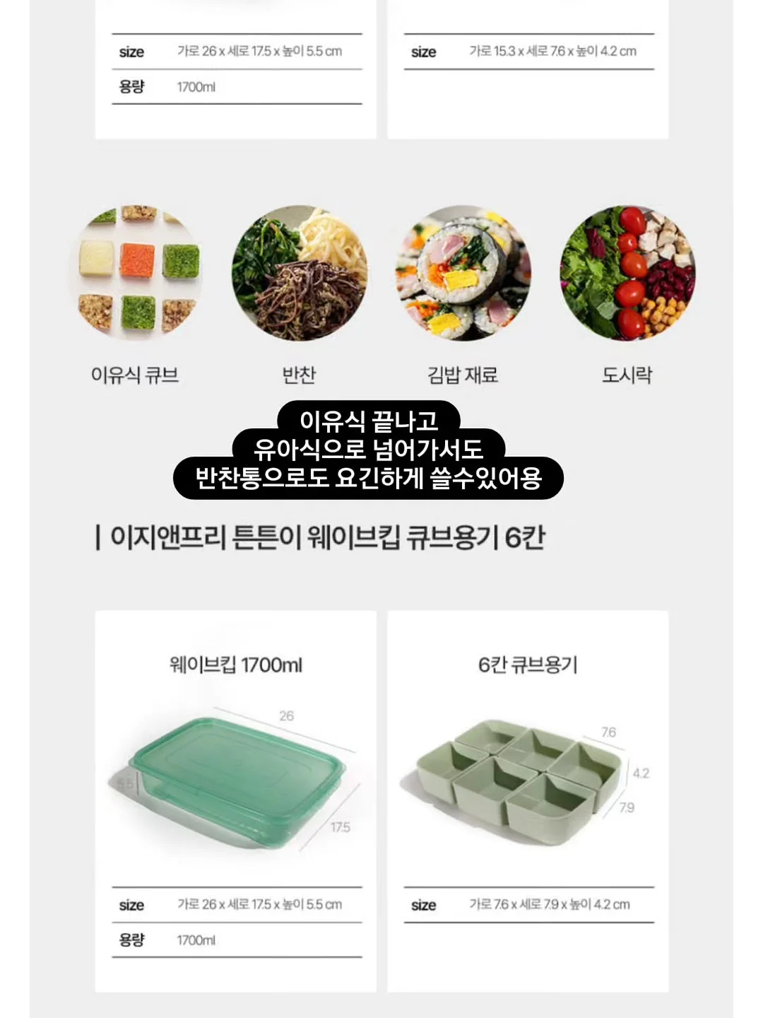 힐링 식물 19